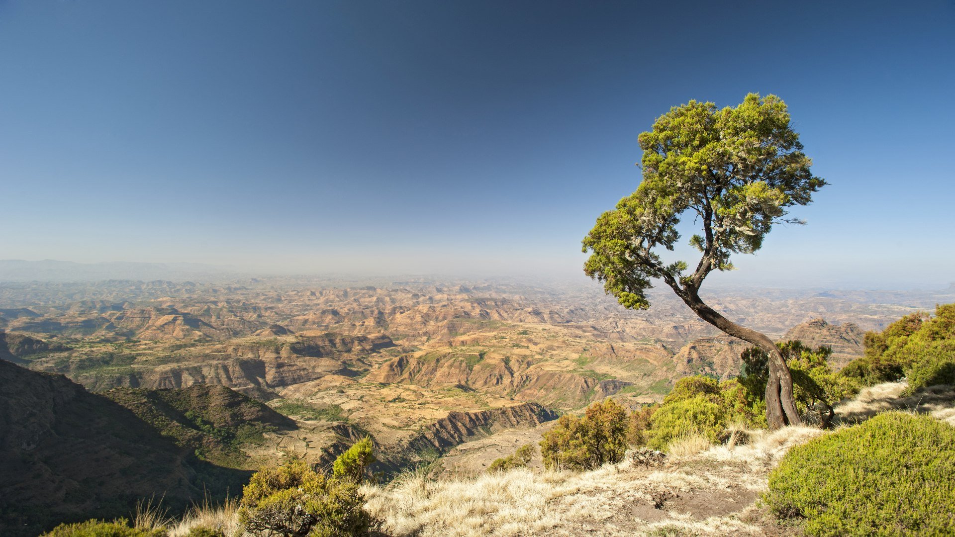 aethiopien_poster_istock_16