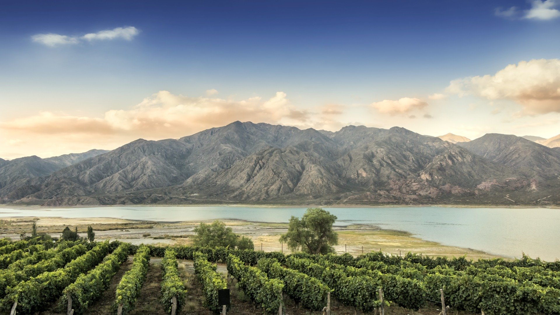 Mendoza