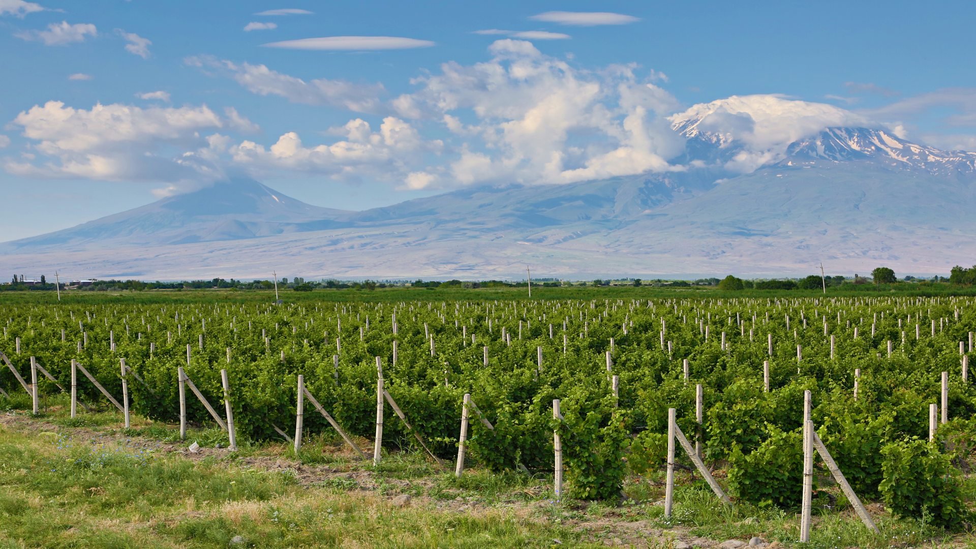 armenien_poster_istock_211023_1