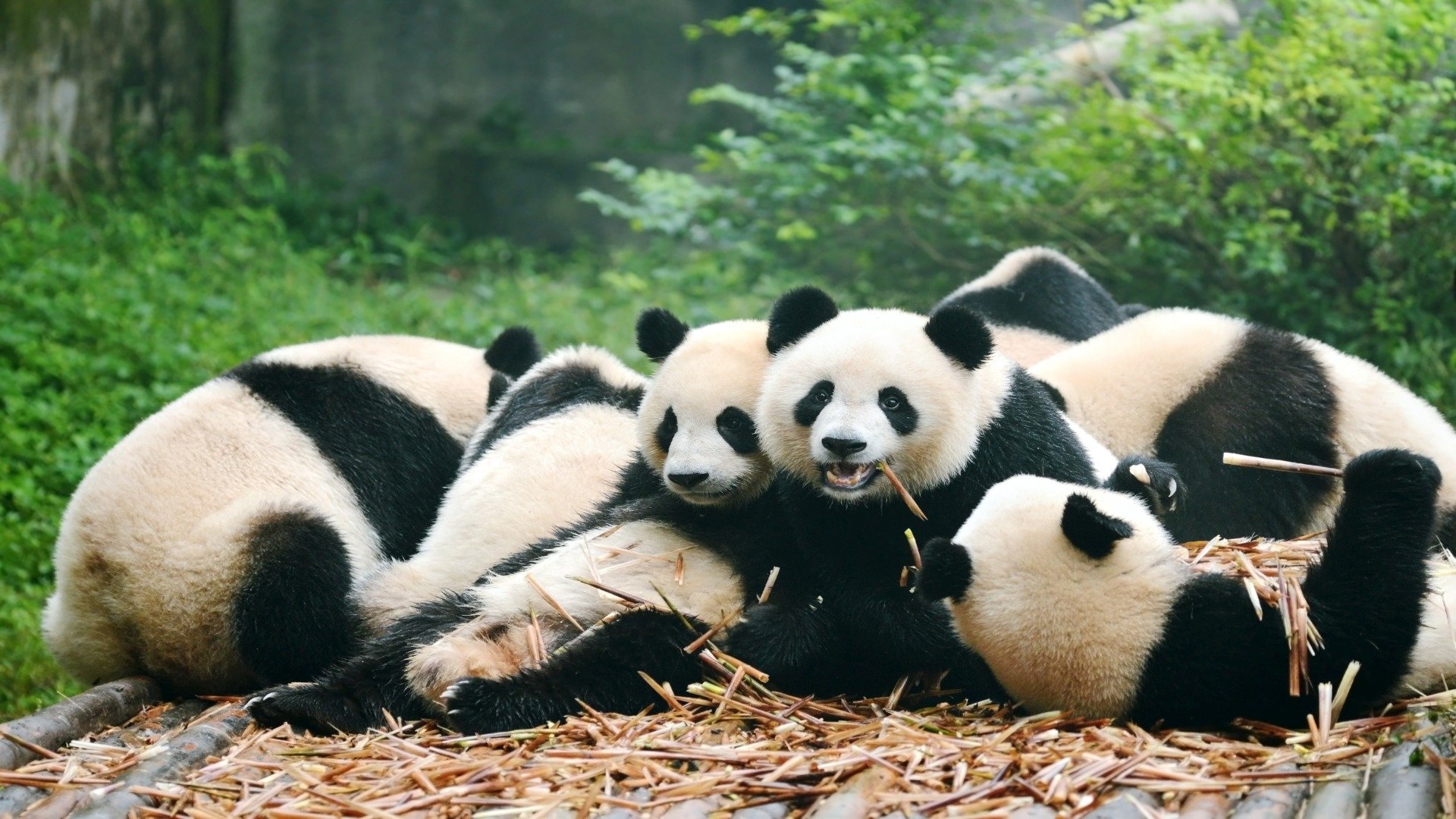 china_poster_istock_10
