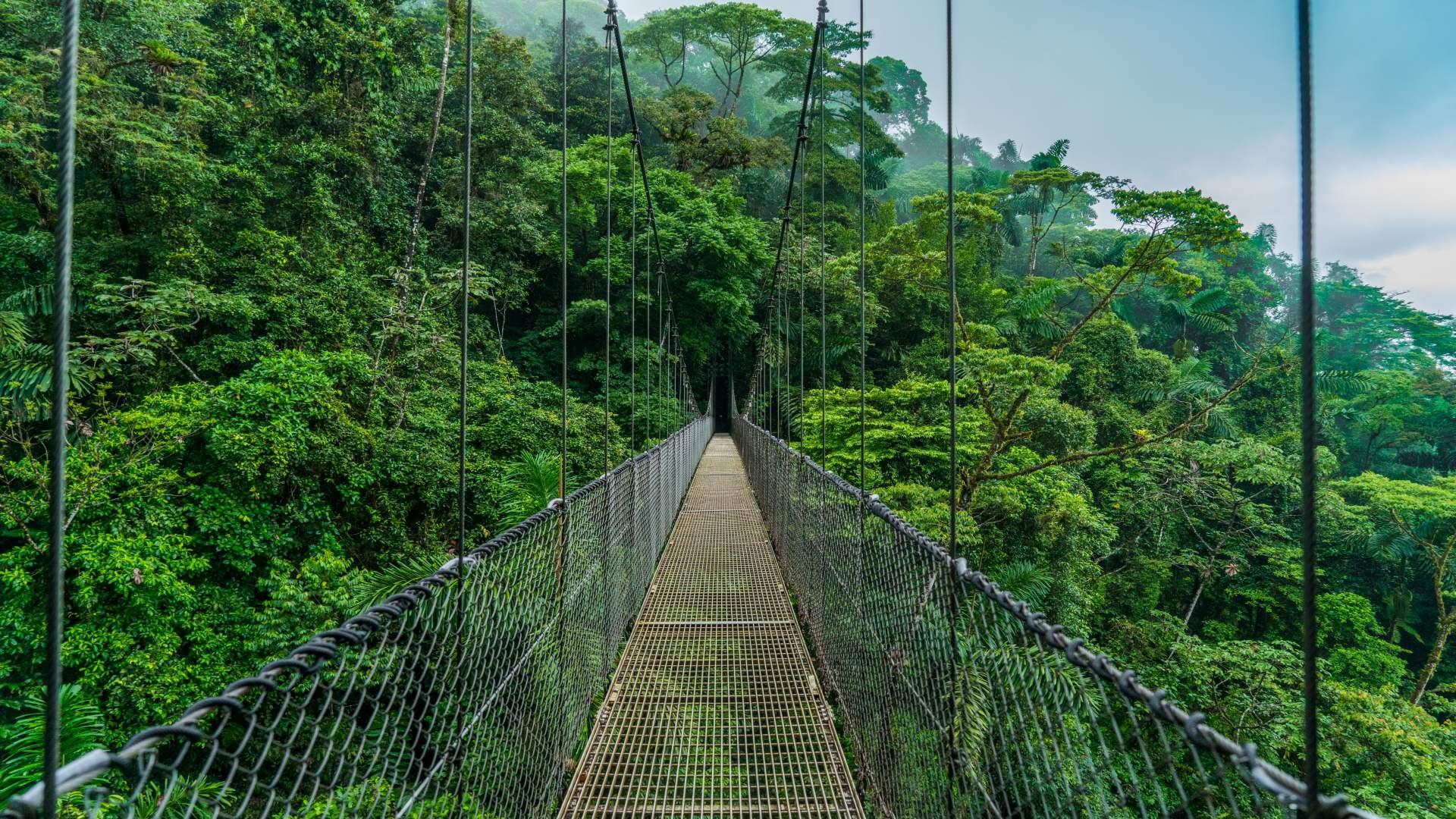 costa rica_poster_istock_6