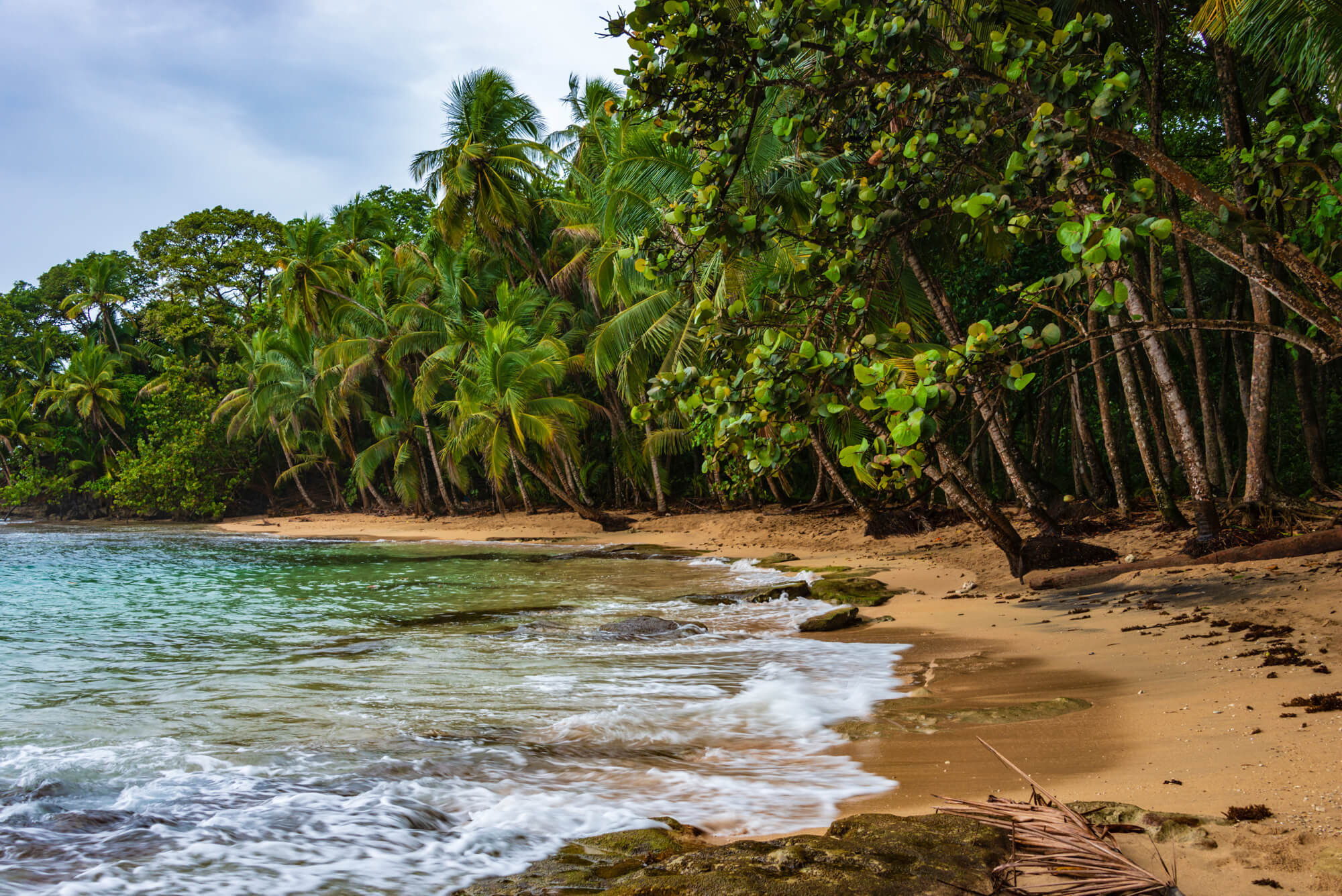 Cahuita Nationalpark