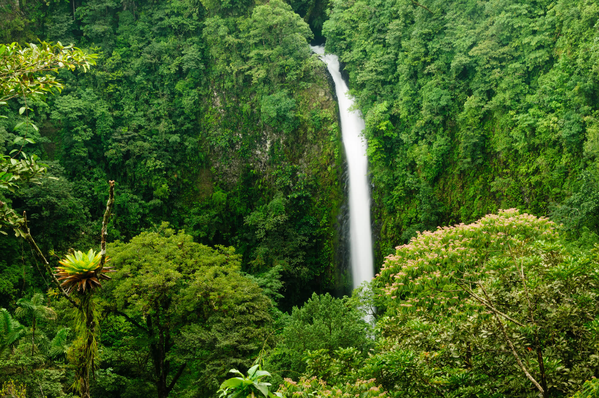 La Fortuna