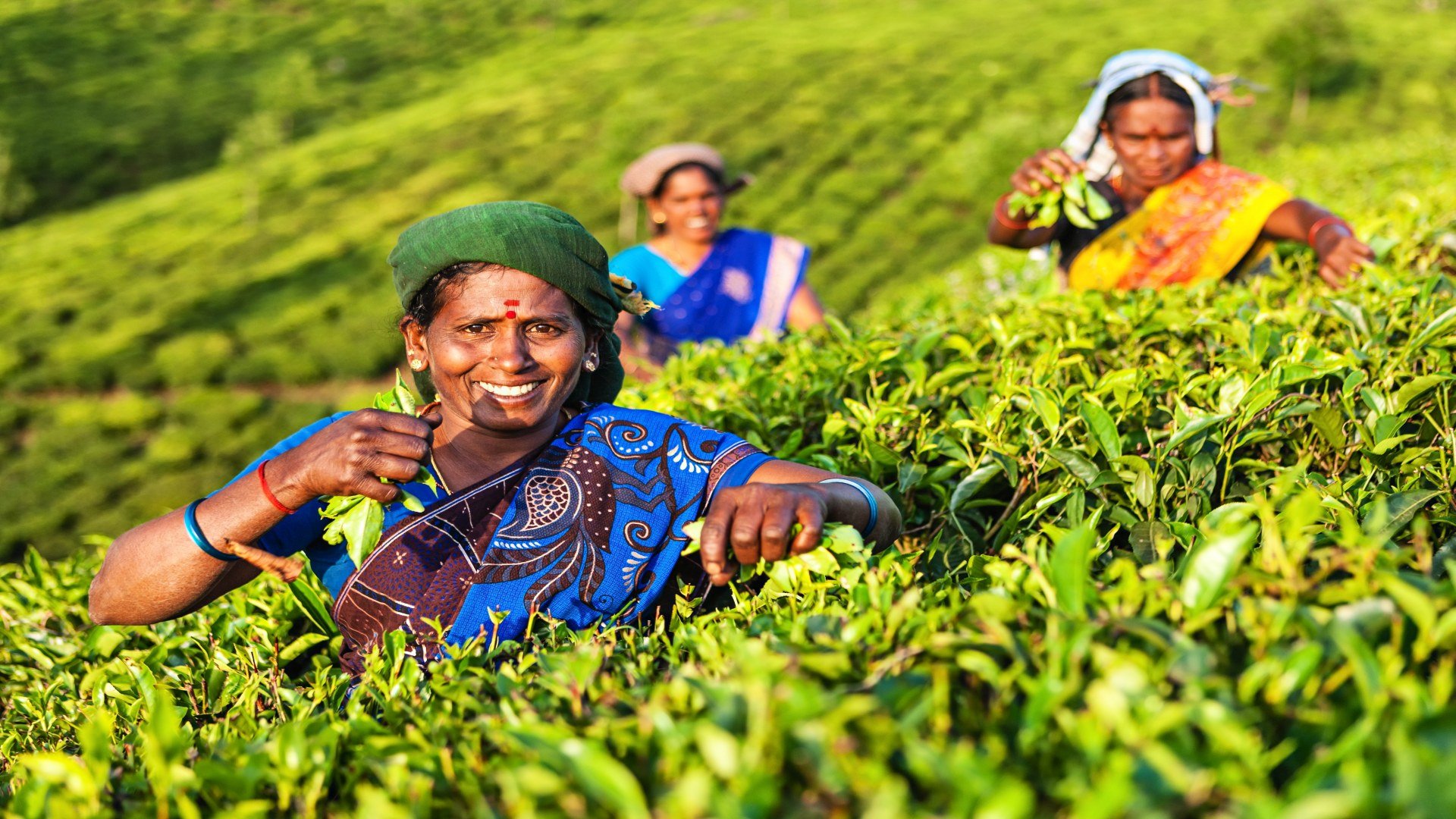 indien_poster_istock_22