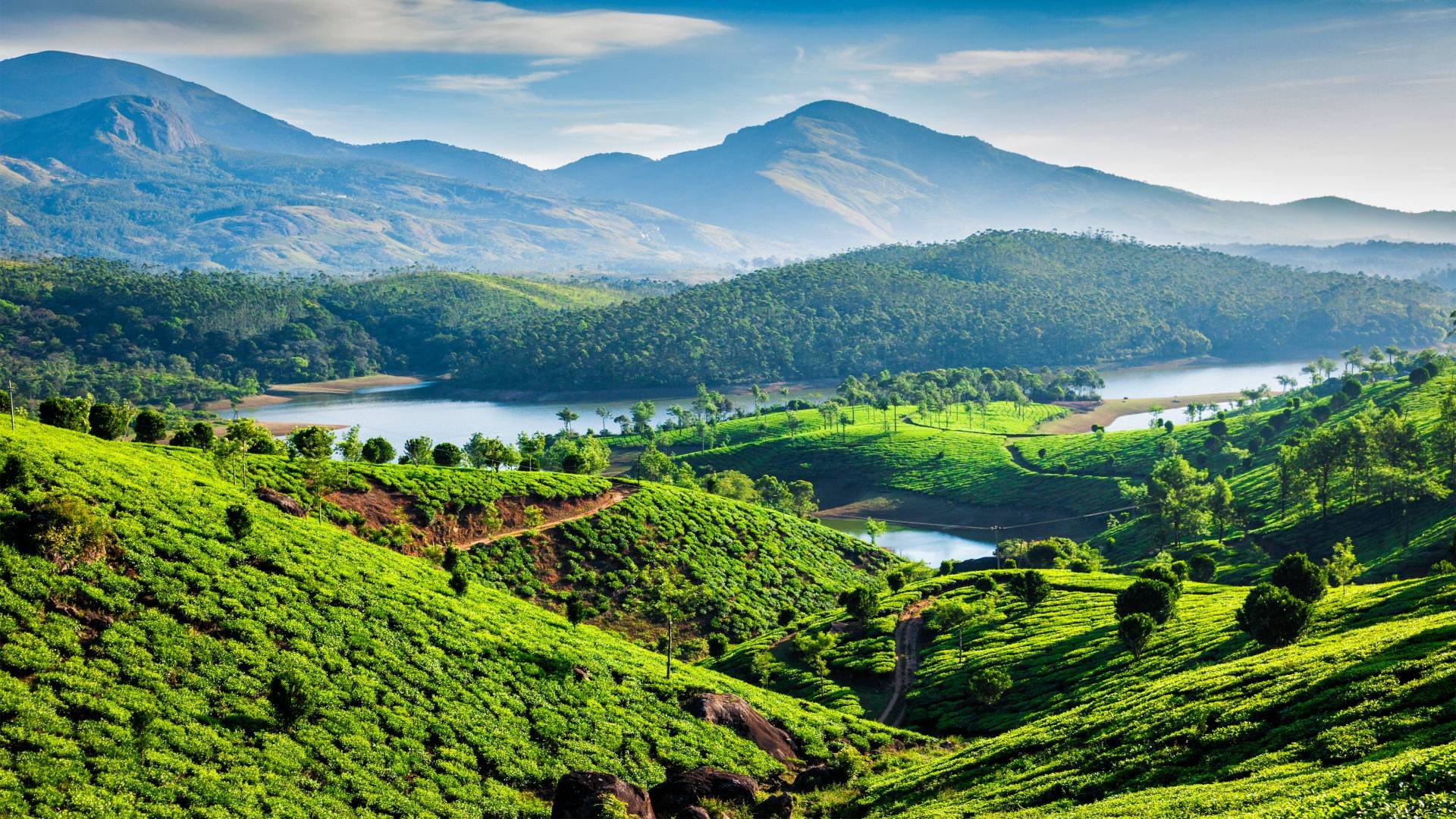 indien_poster_istock_23