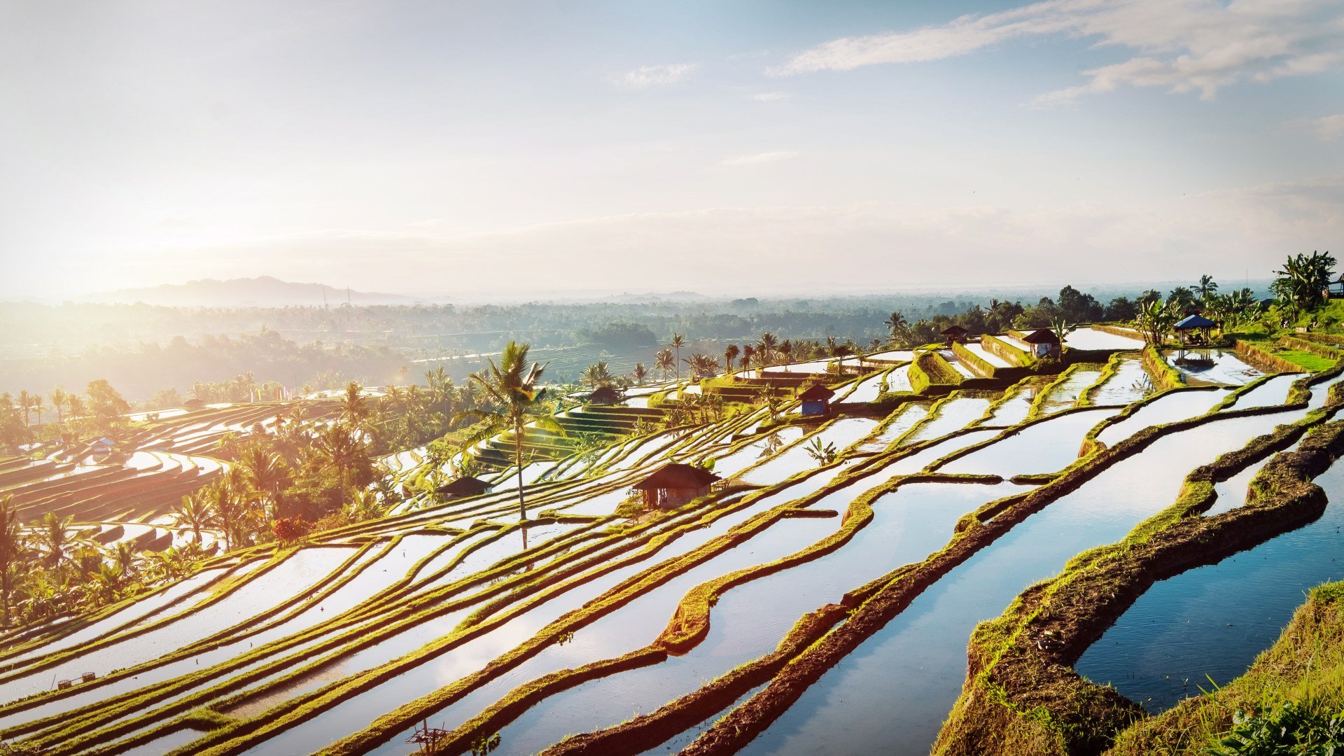 indonesien_poster_istock_4