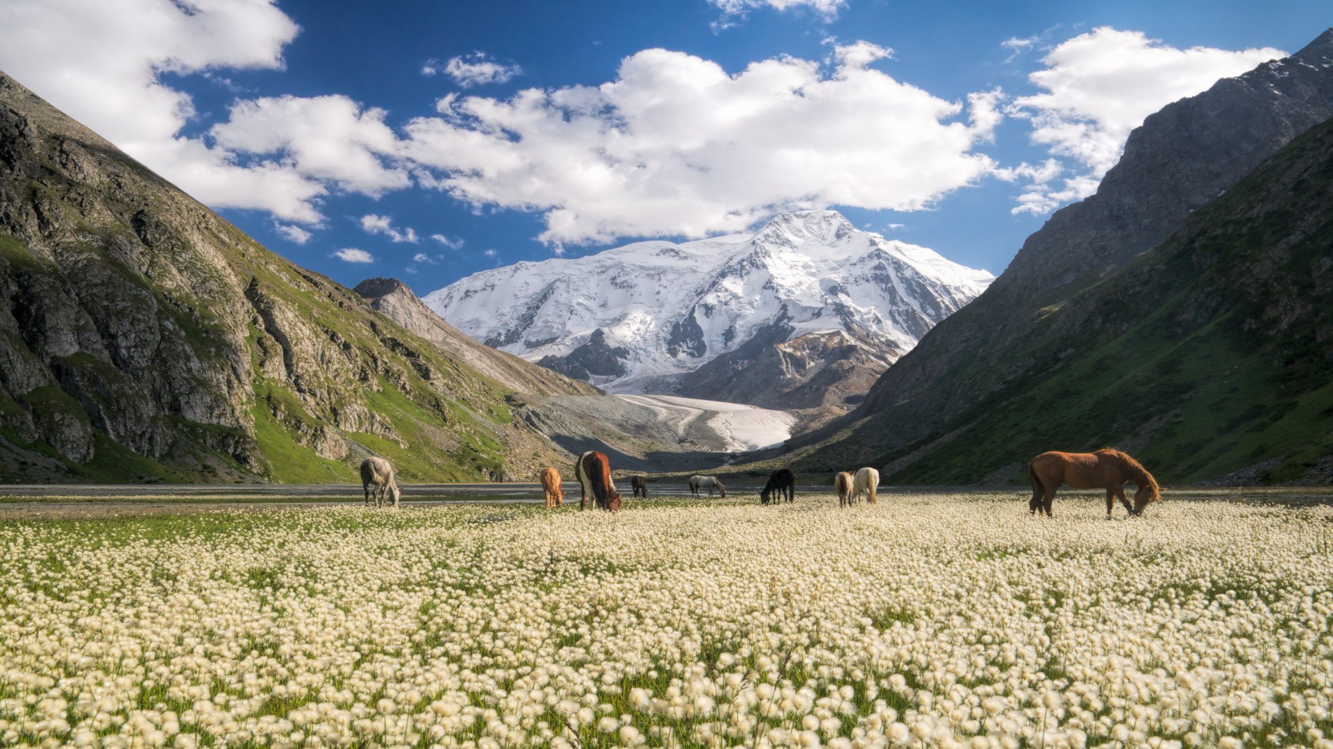 kirgisistan_poster_istock_14