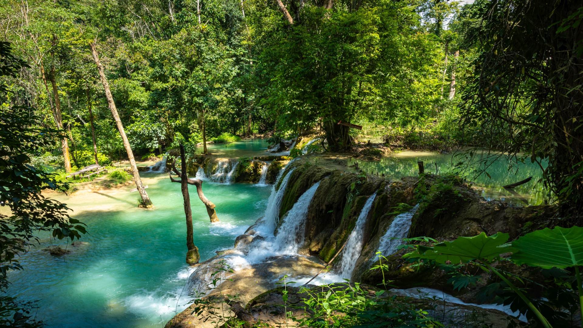 laos_poster_istock_10