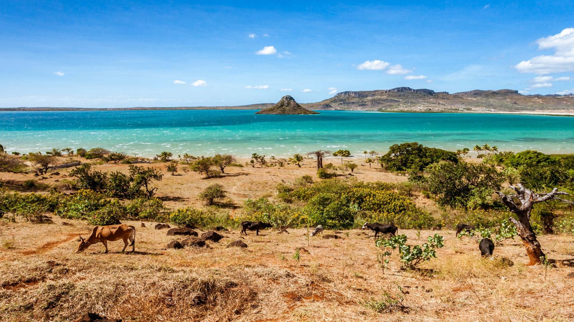 madagaskar_poster_istock_11