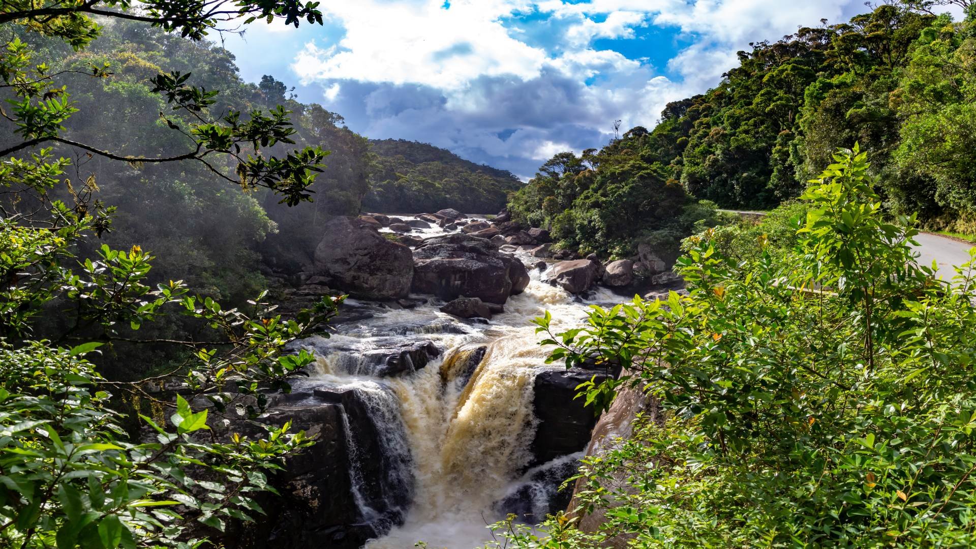 madagaskar_poster_istock_18