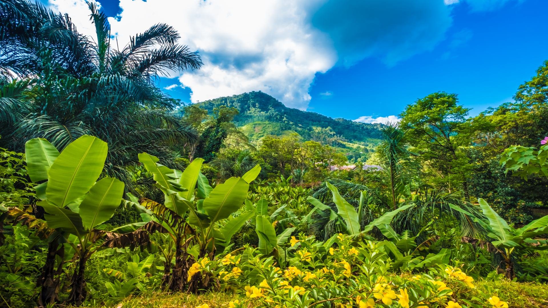 madagaskar_poster_istock_19