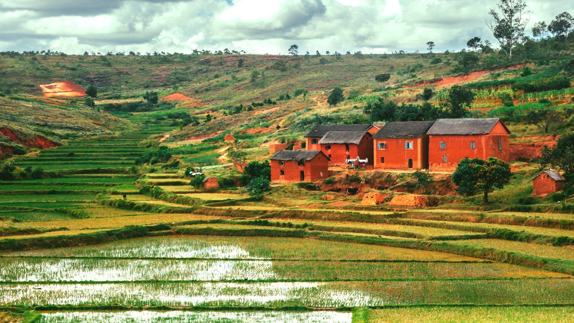 madagaskar_poster_istock_21