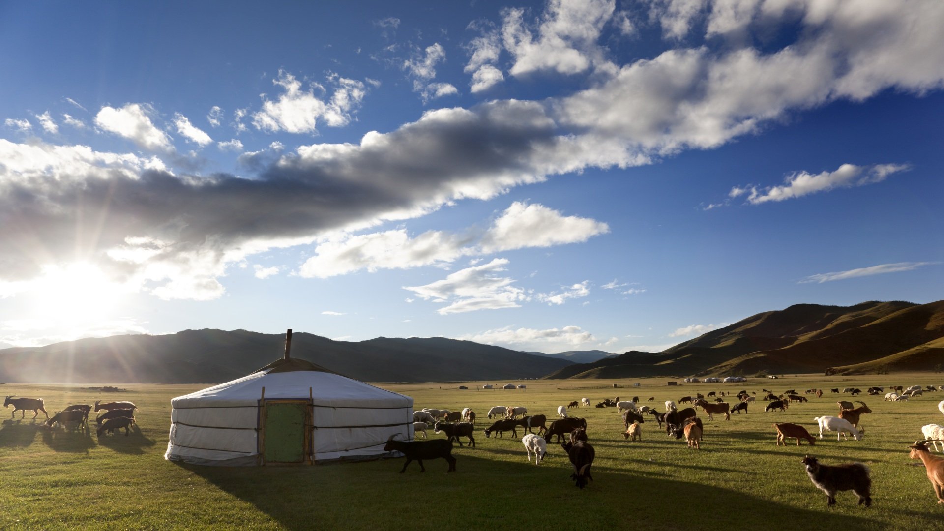 mongolei_poster_istock_5