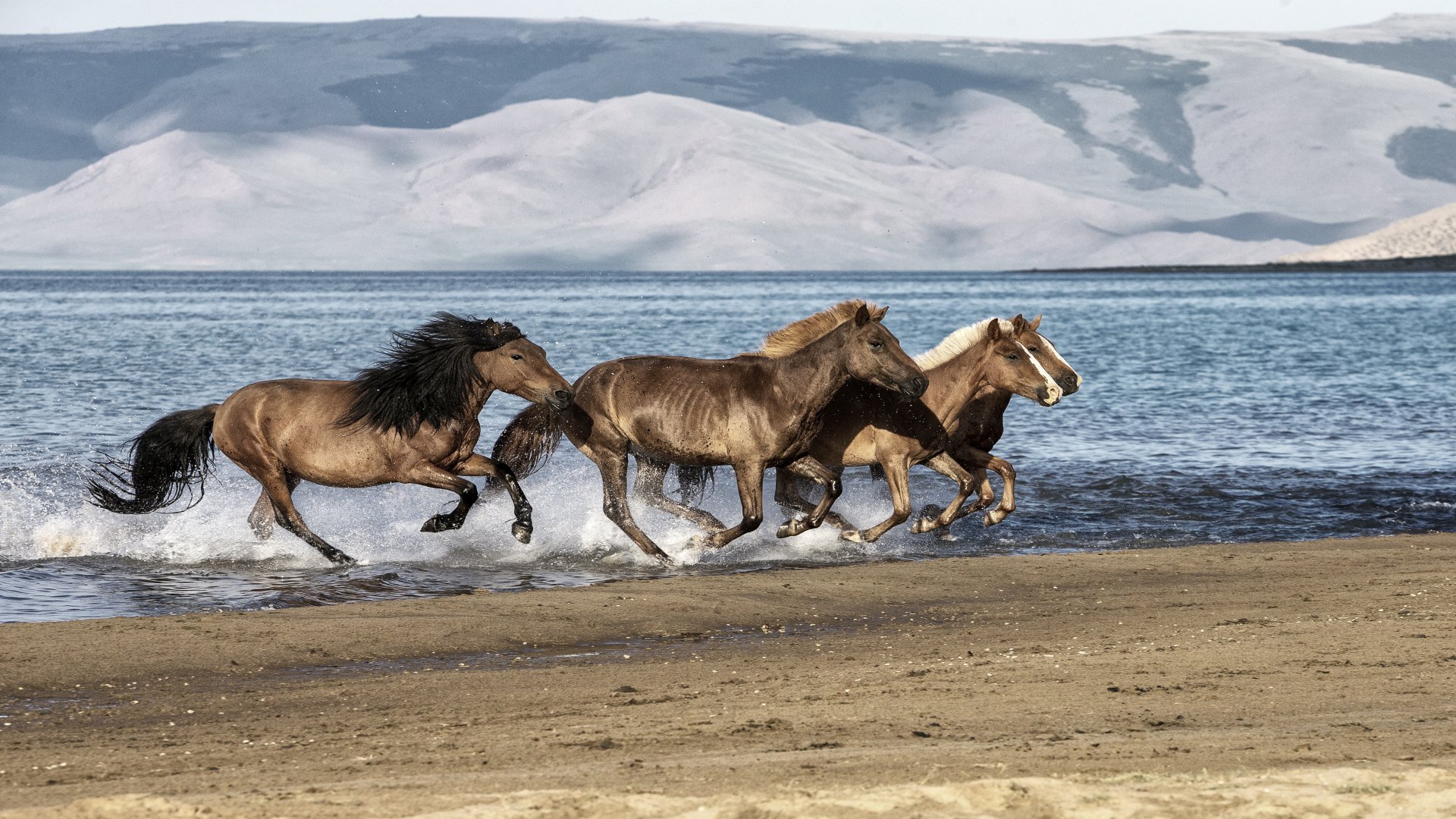 mongolei_poster_istock_6
