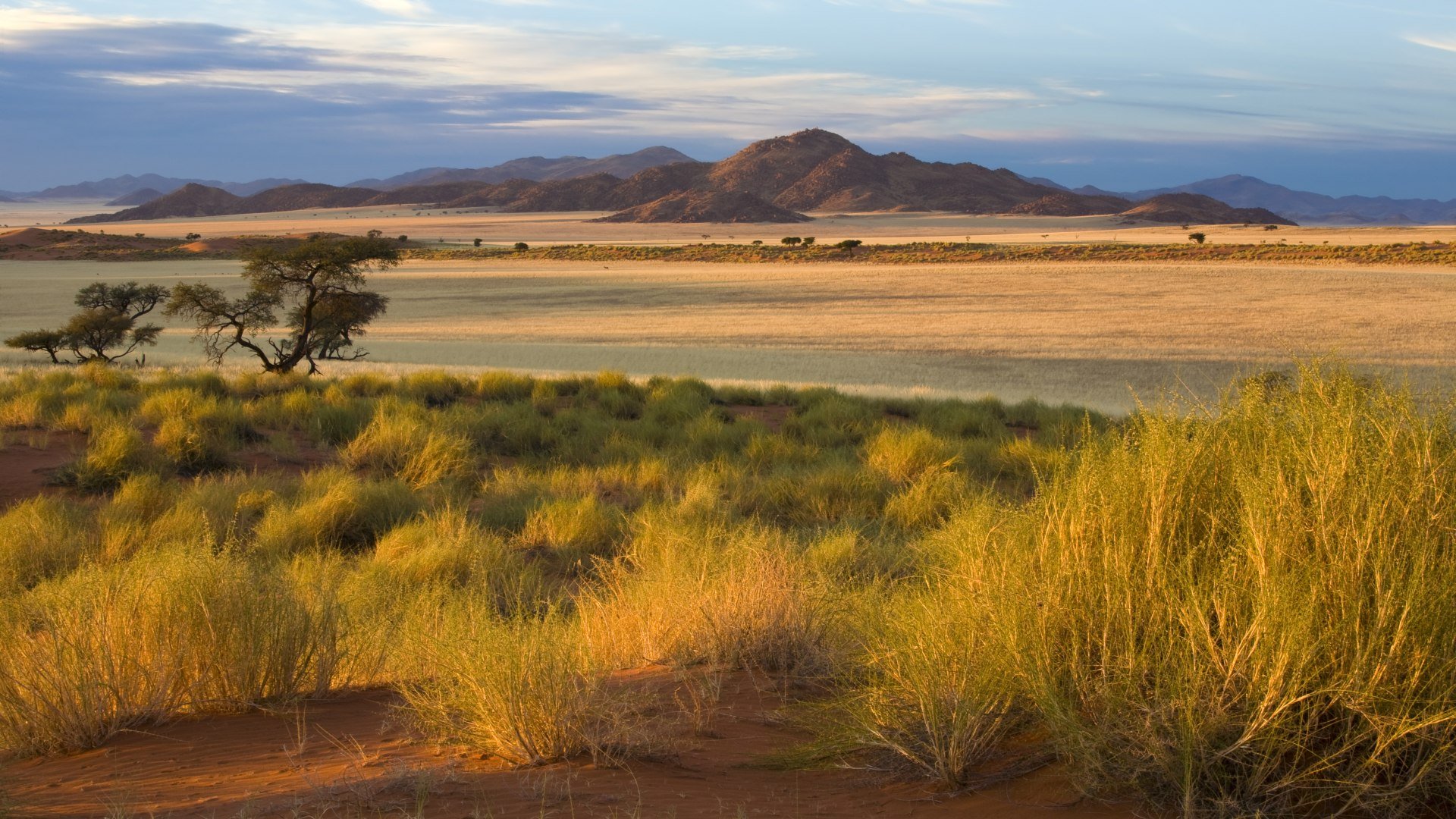namibia_poster_istock_1