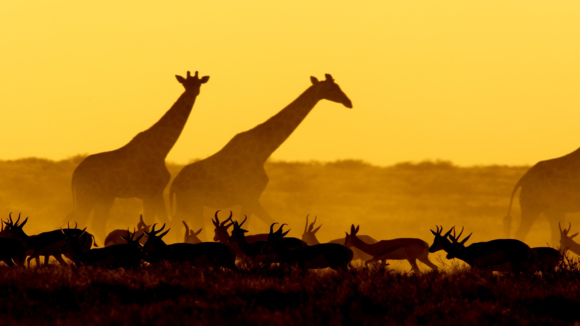 namibia_poster_istock_4