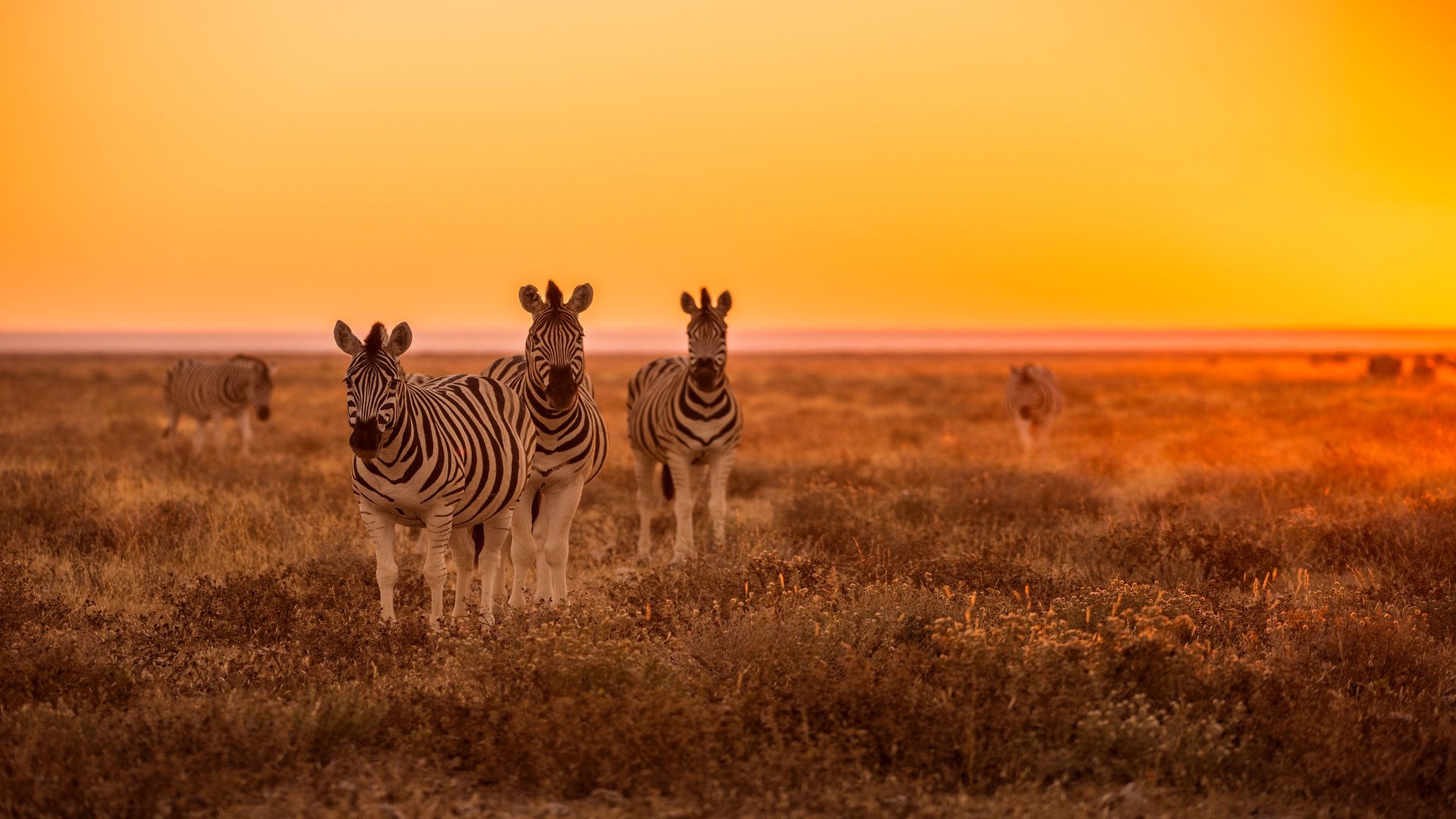 namibia_poster_istock_5