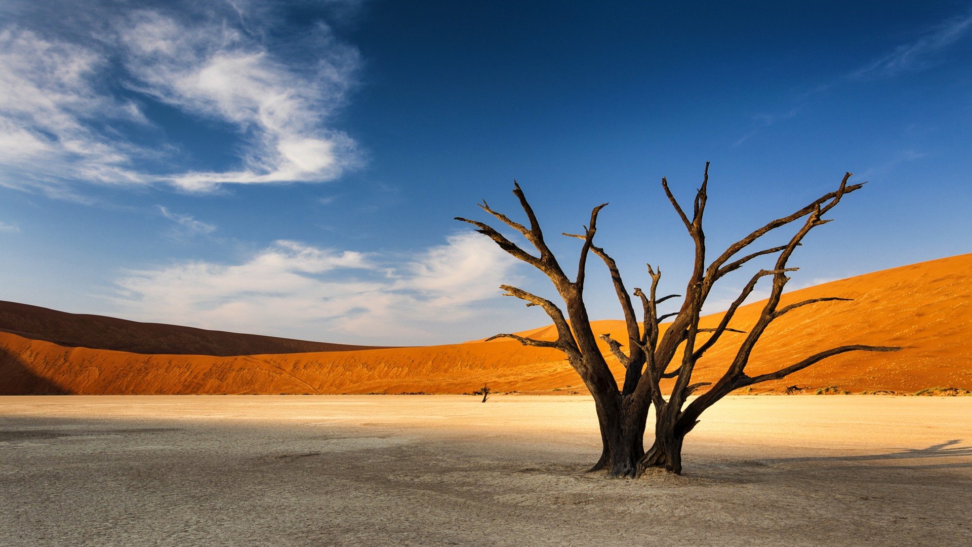 namibia_poster_istock_6