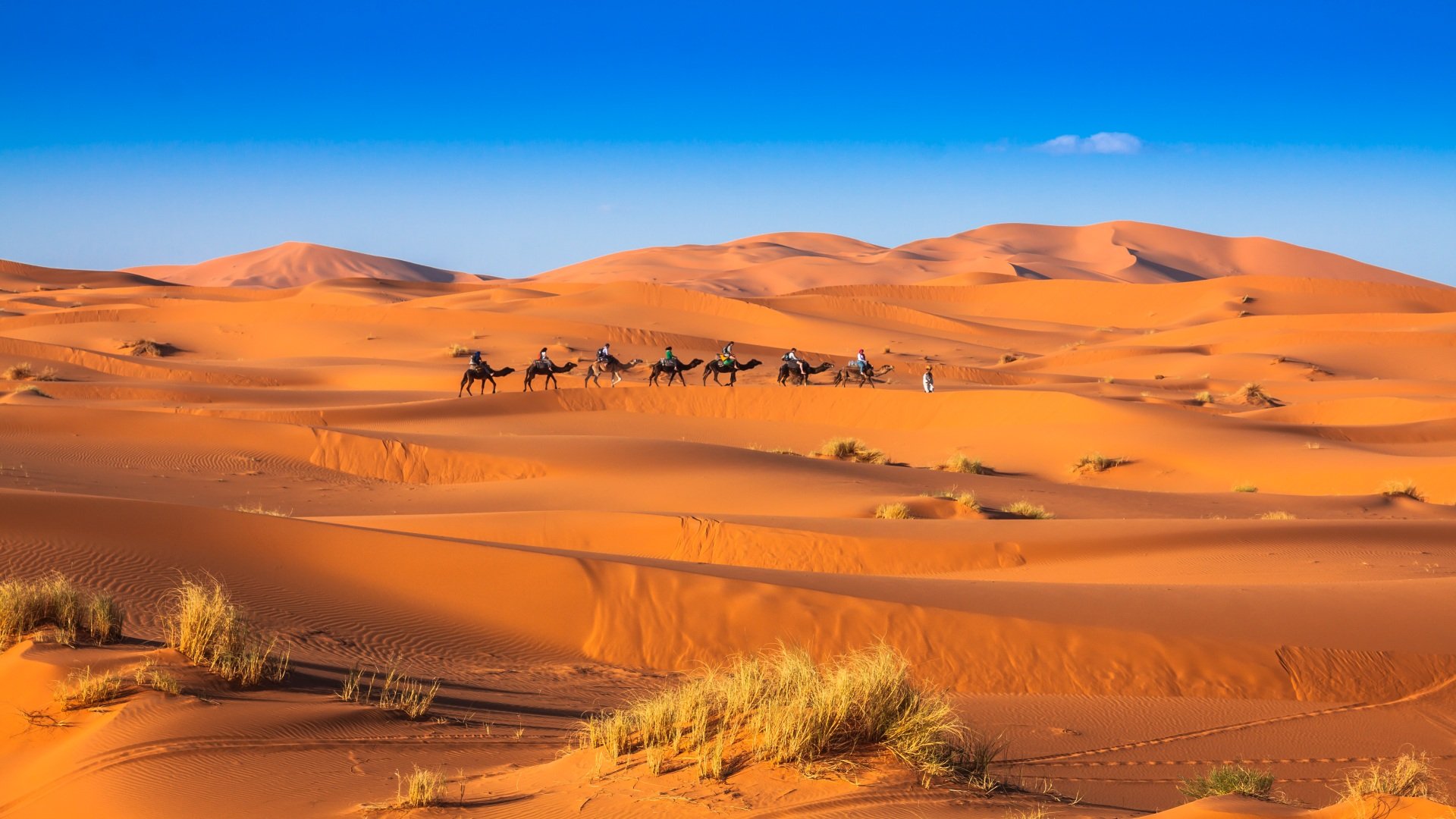 Merzouga