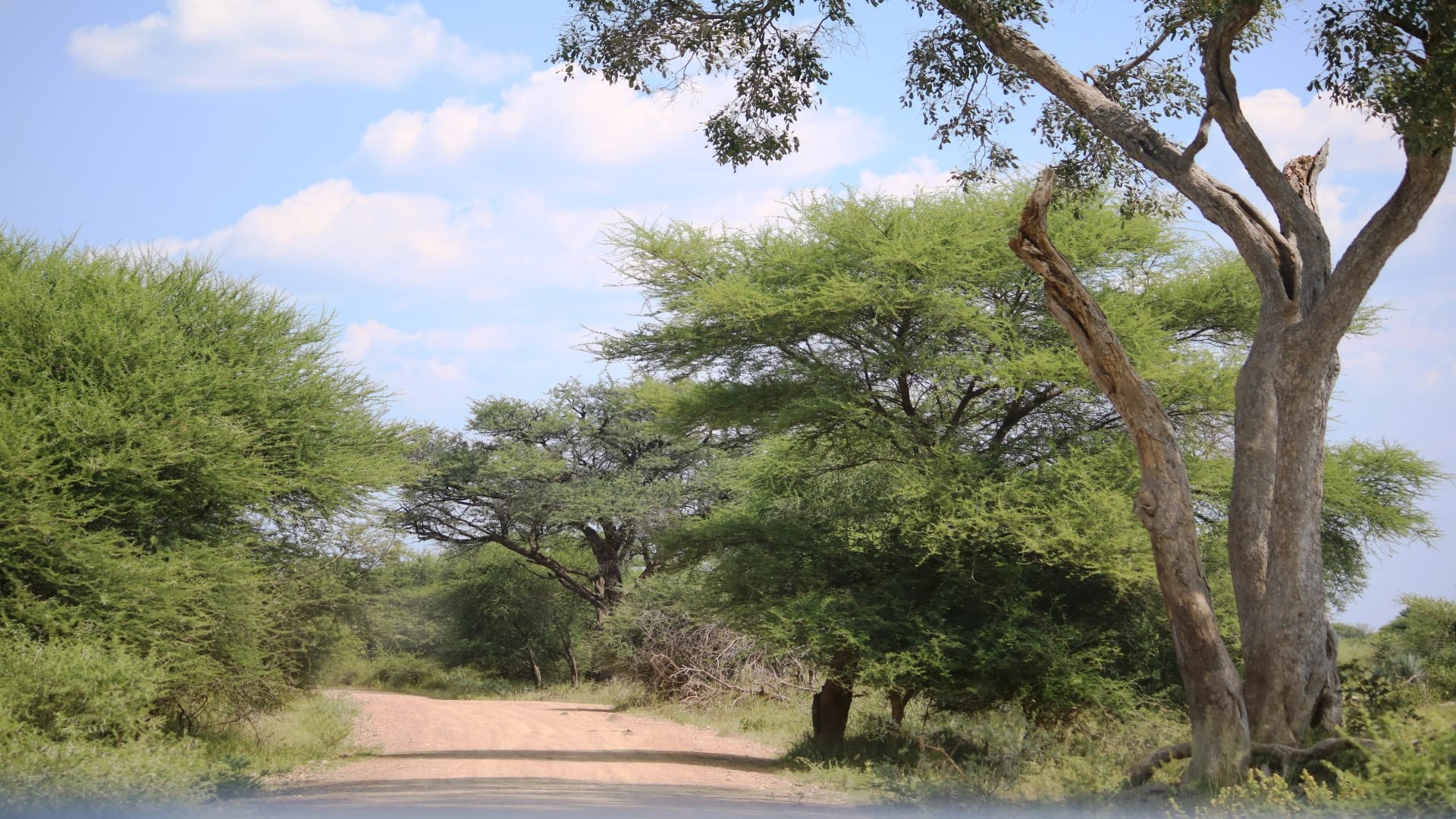 Mahango Park