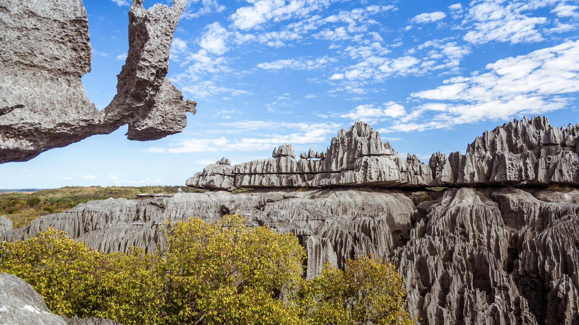 Bemaraha Nationalpark