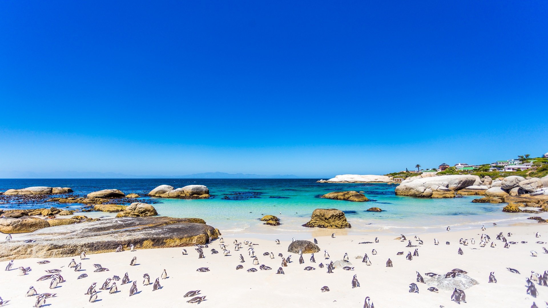 suedafrika_poster_istock_4