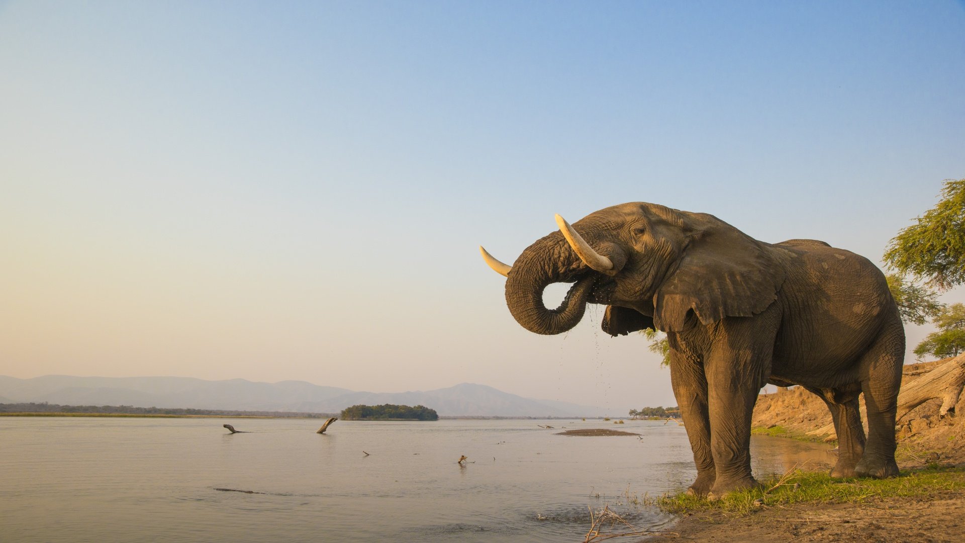 simbabwe_poster_istock_2