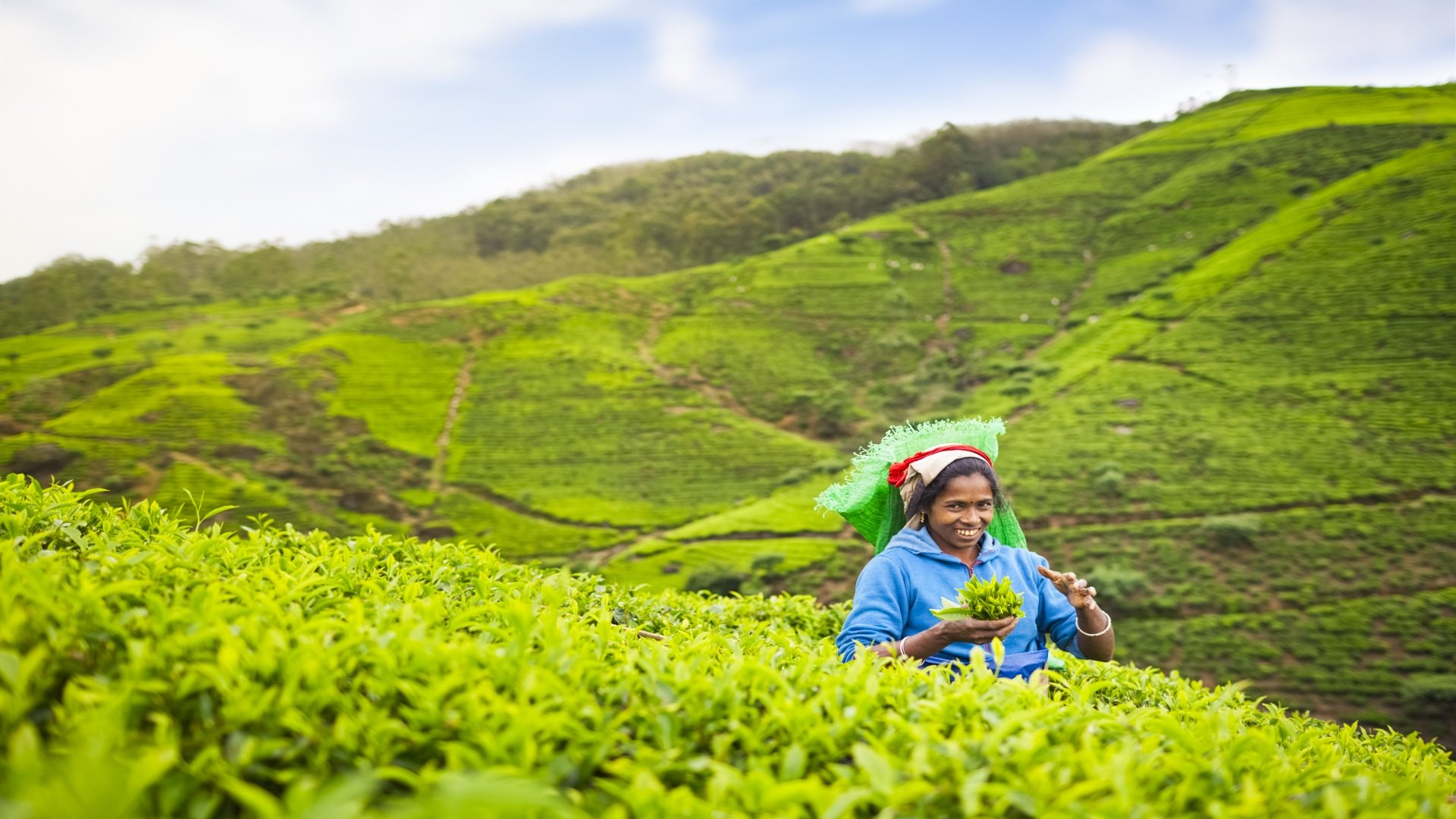 sri lanka_poster_istock_14