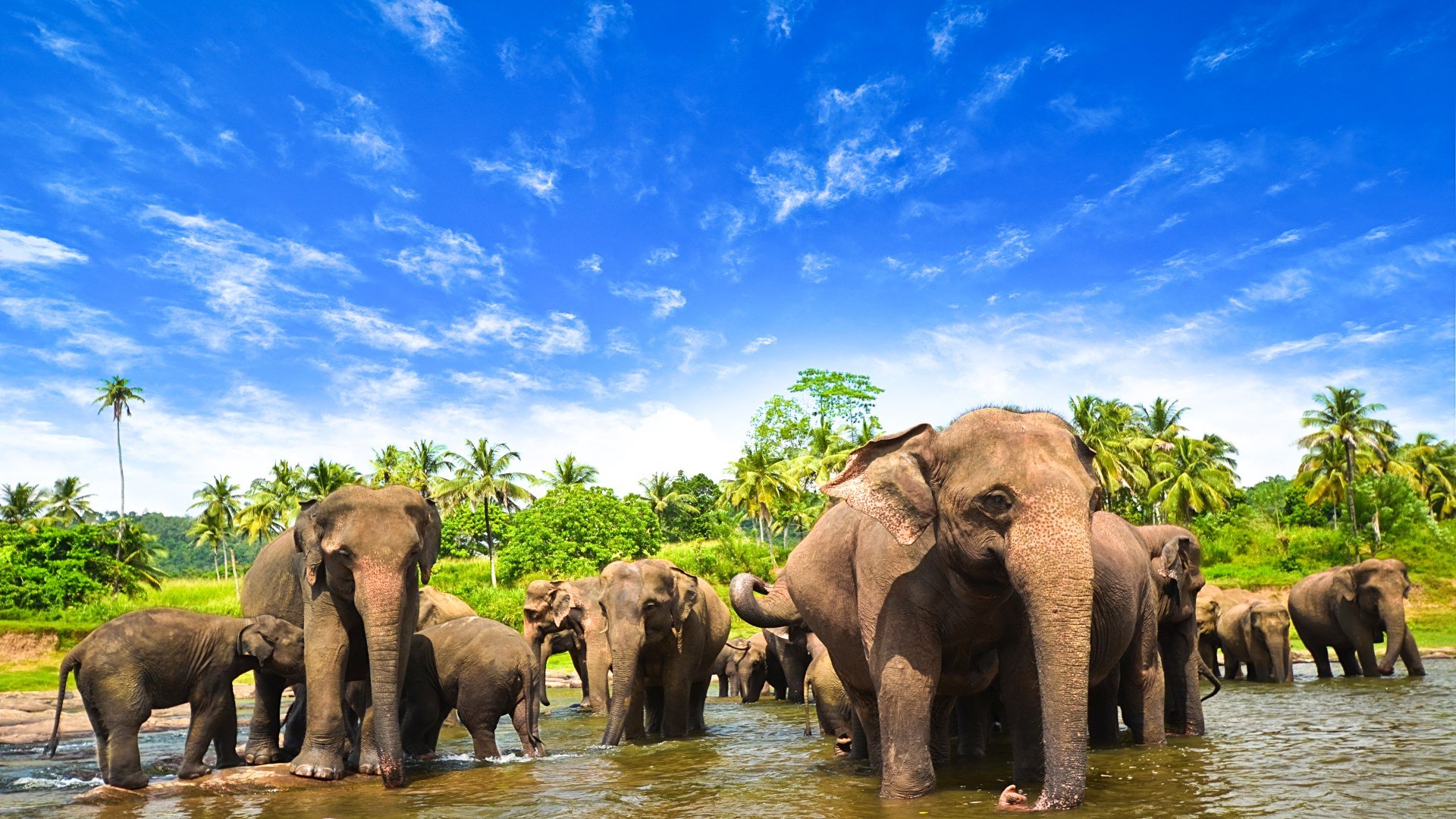 sri lanka_poster_istock_16