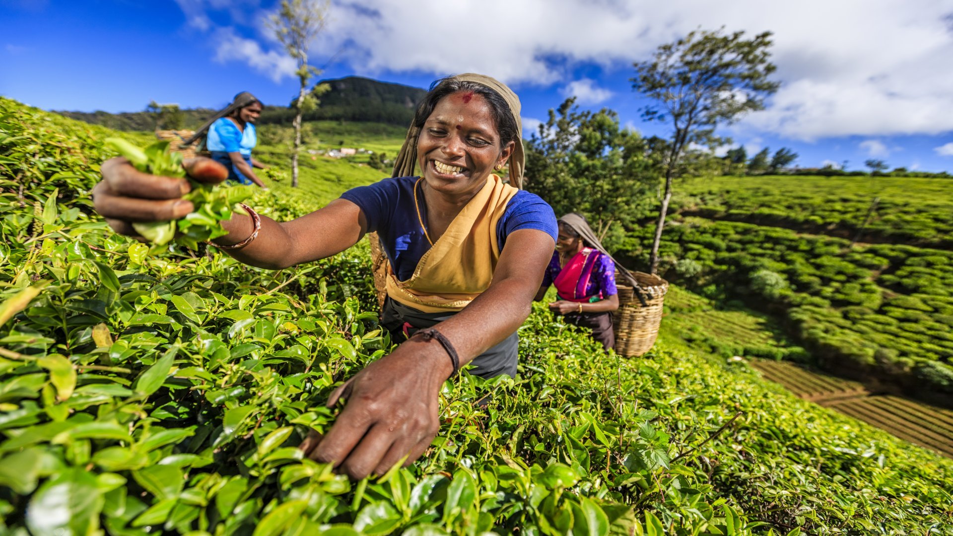 sri lanka_poster_istock_40