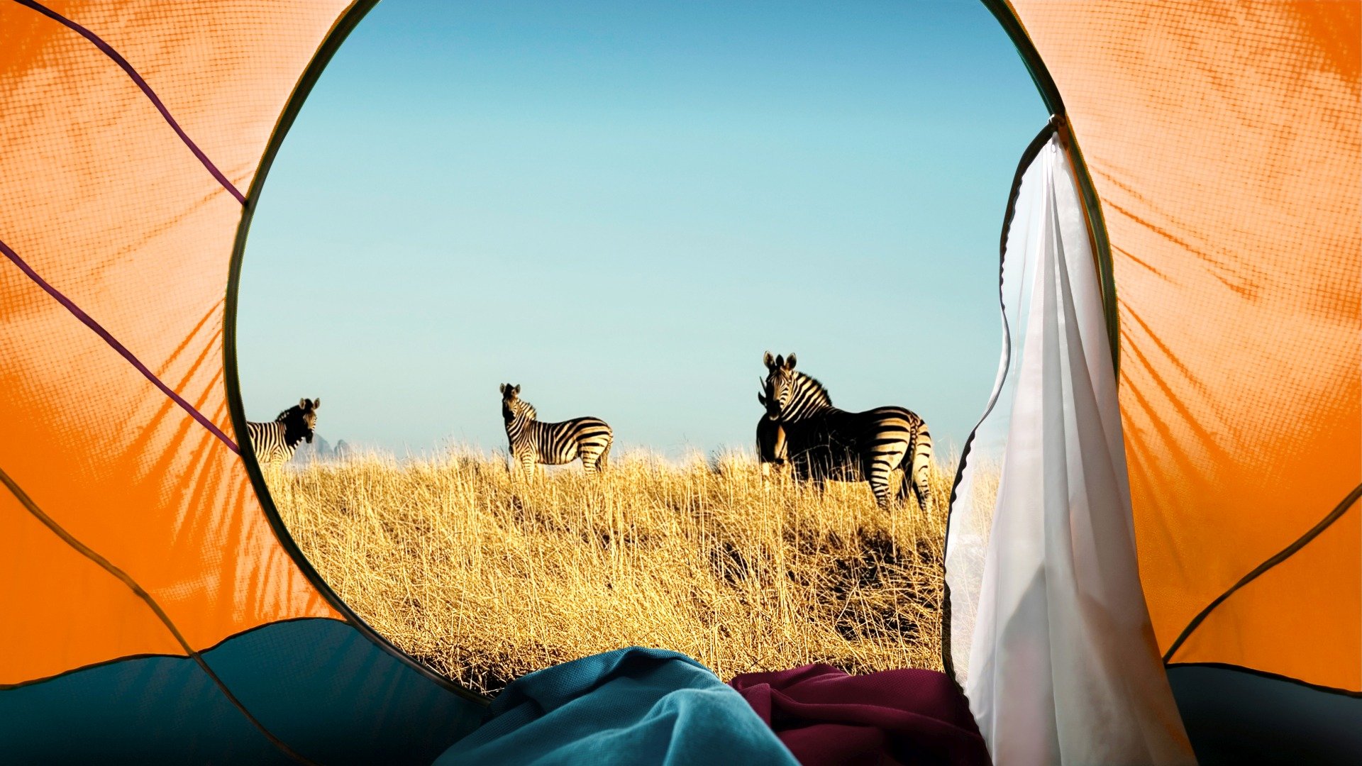 tansania_poster_istock_15