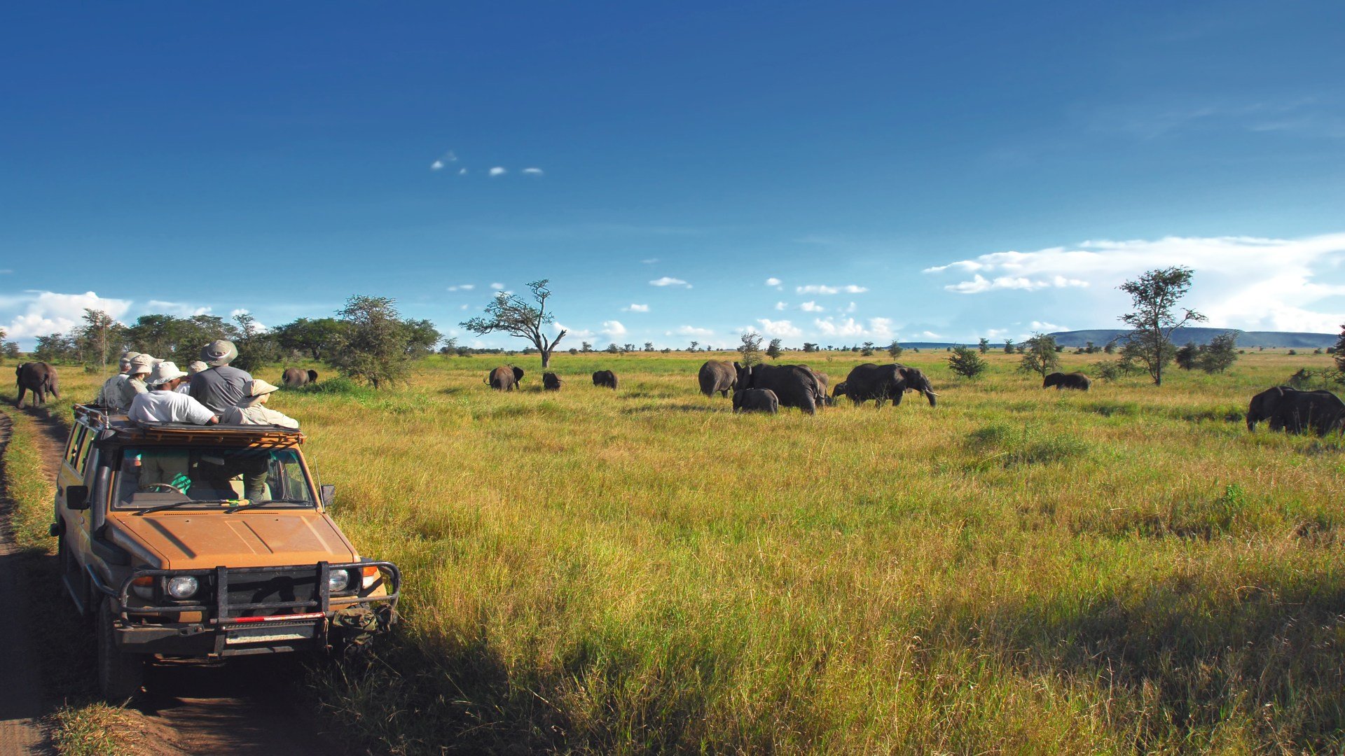 tansania_poster_istock_6
