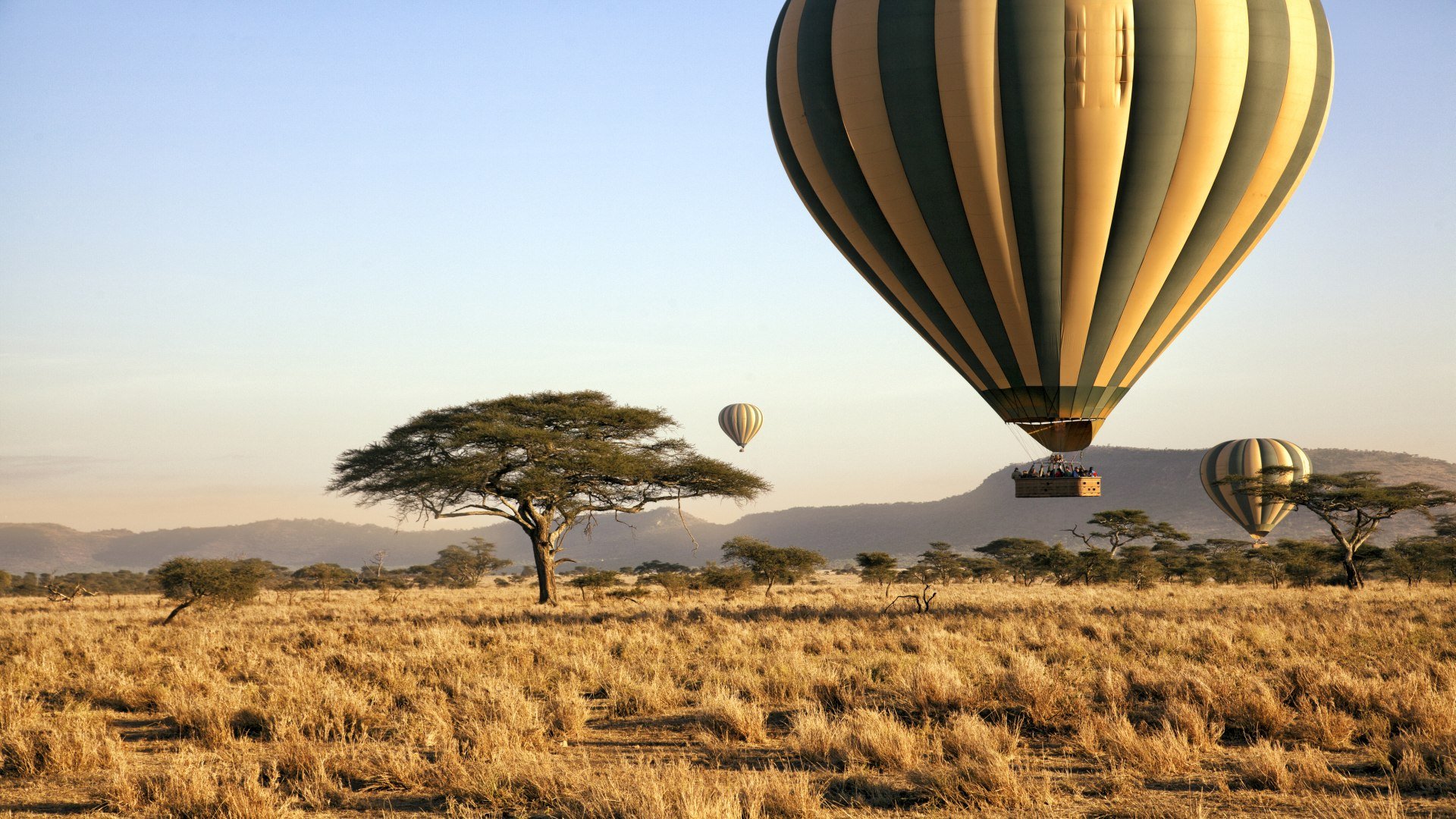 tansania_poster_istock_7