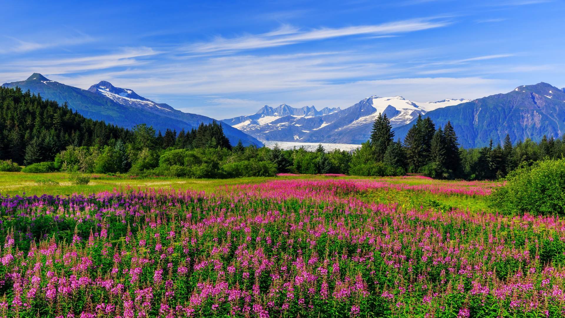 usa_poster_istock_23