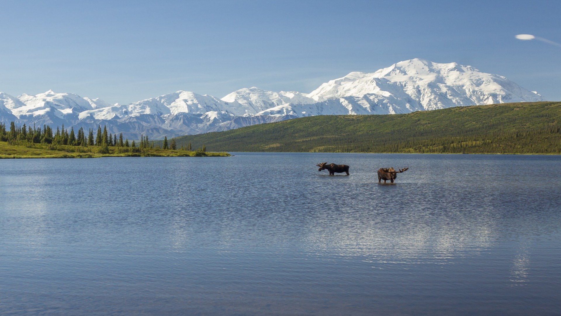 Denali