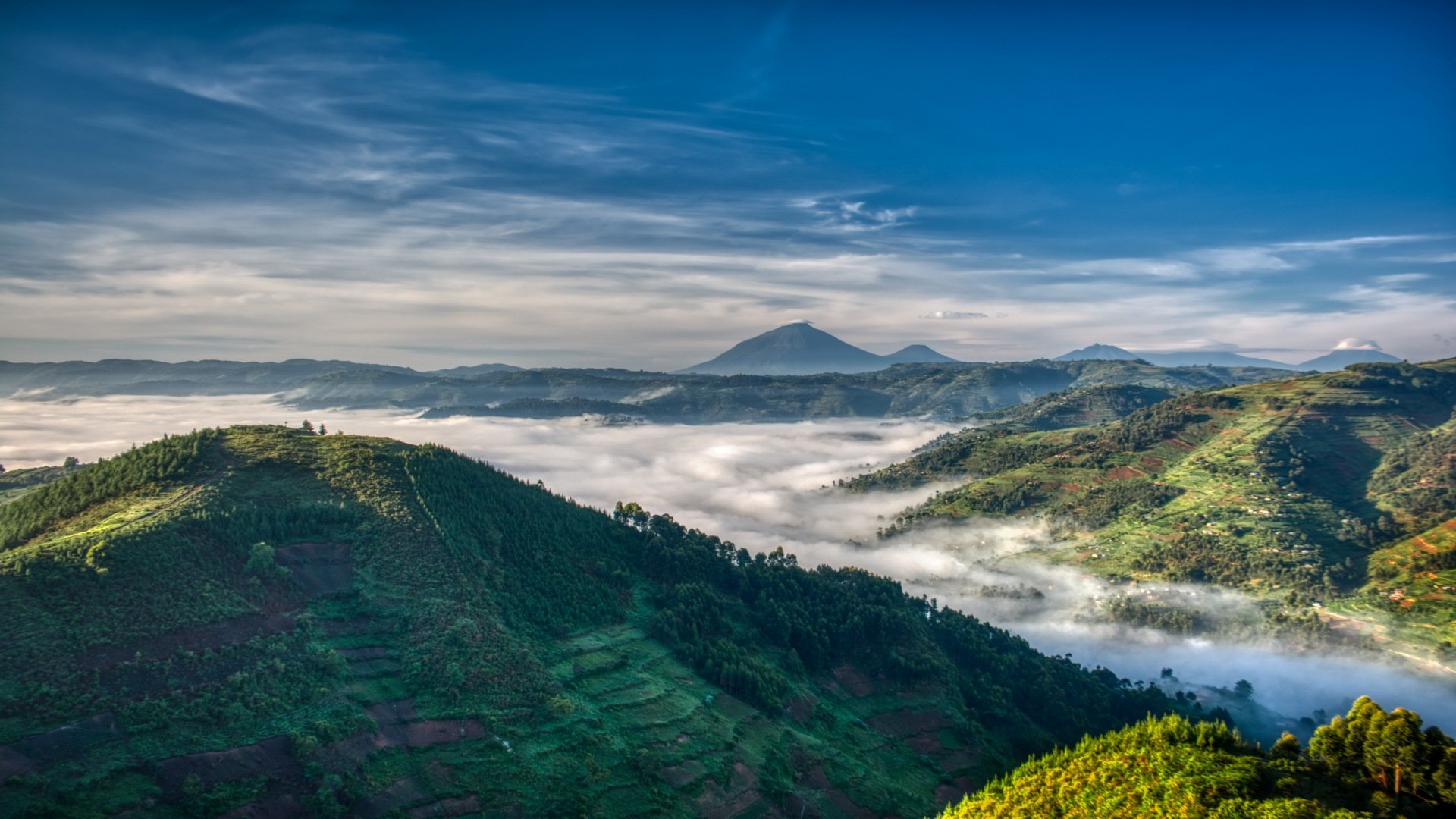 uganda_poster_istock_26