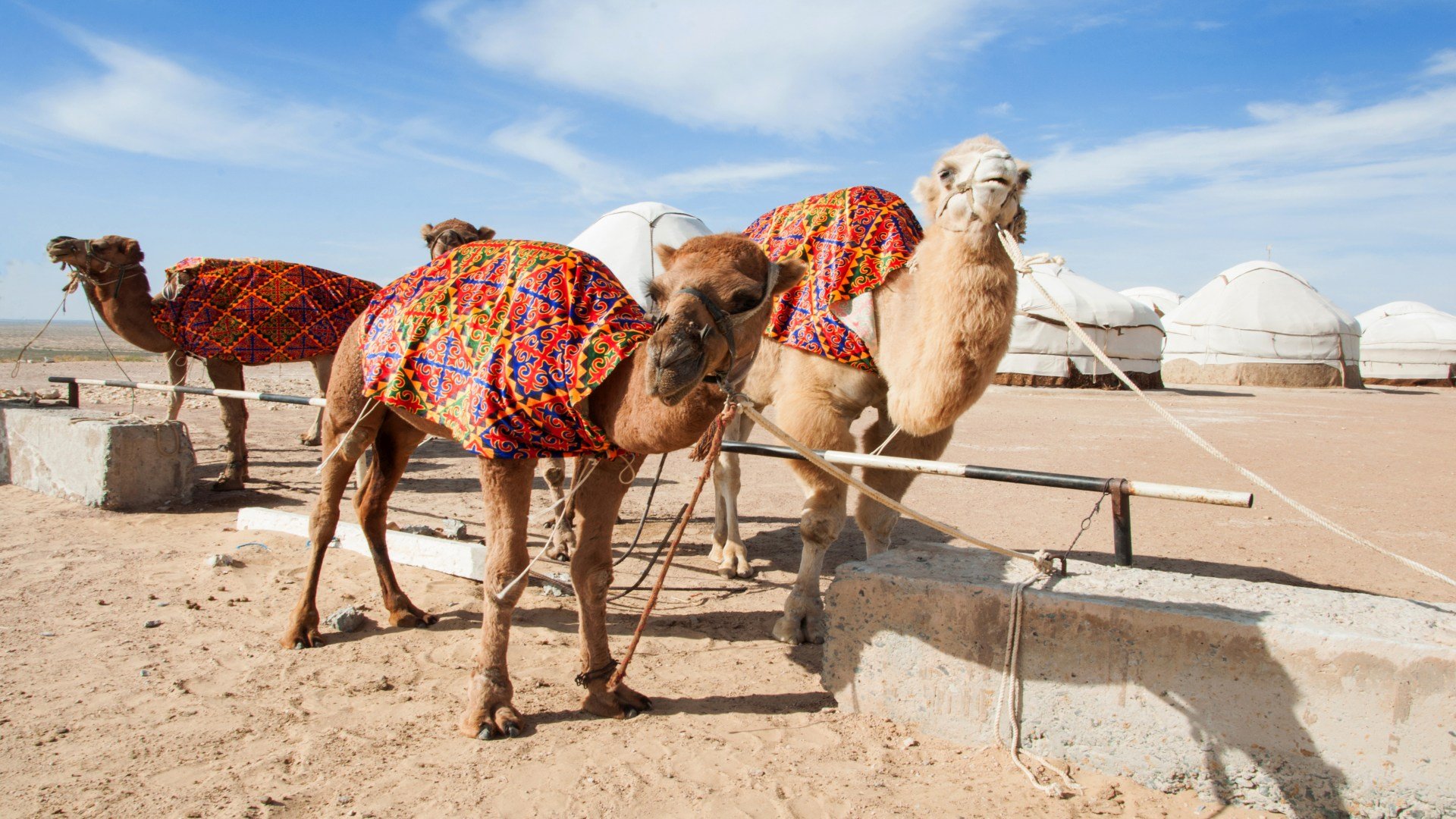 usbekistan_poster_istock_16