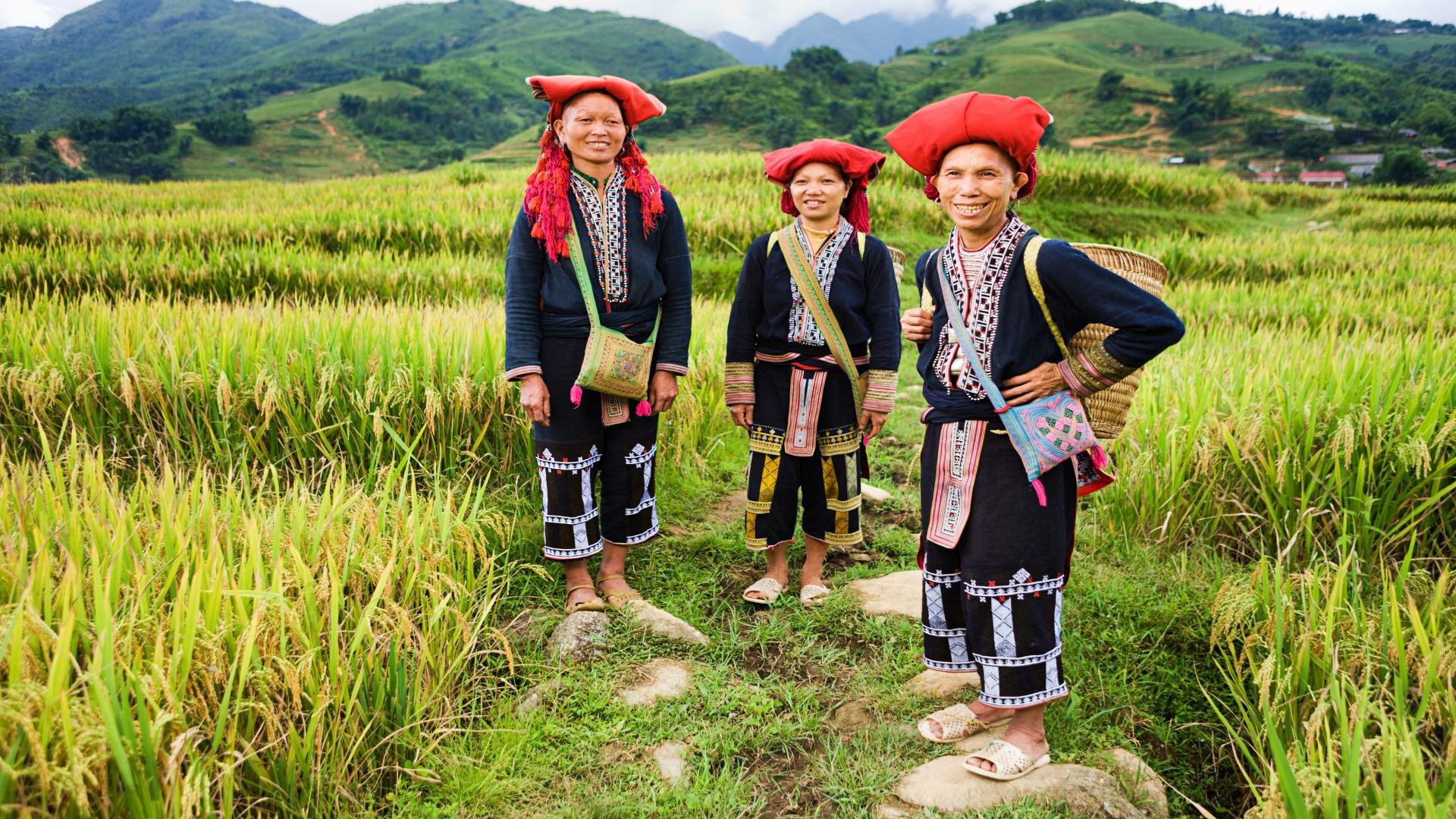vietnam_poster_istock_39