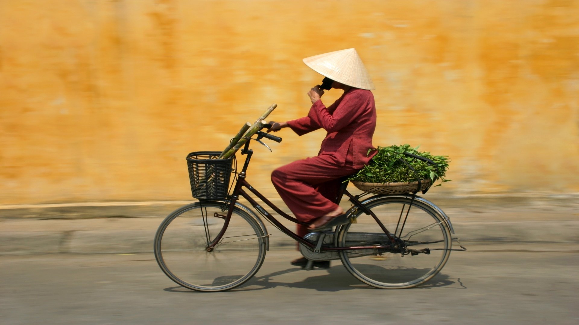 vietnam_poster_istock_8