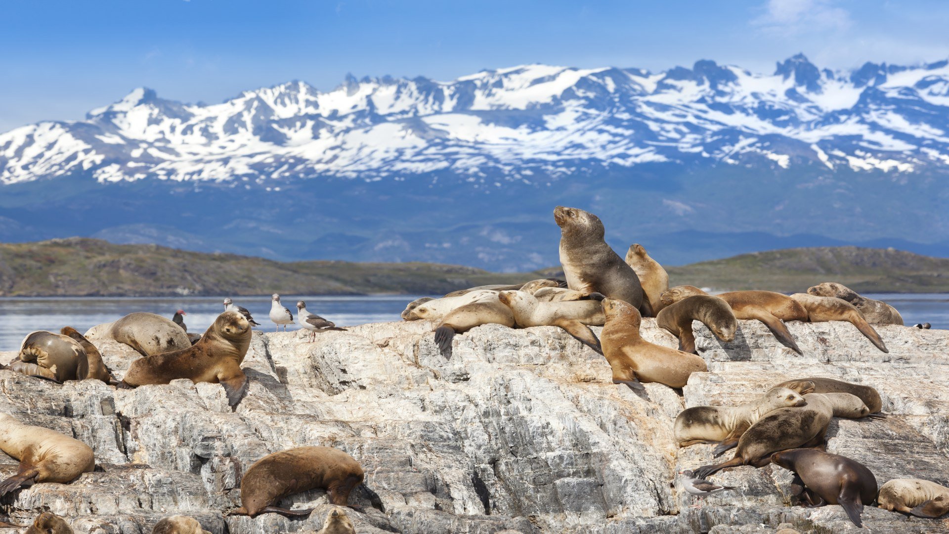argentinien_poster_istock_15