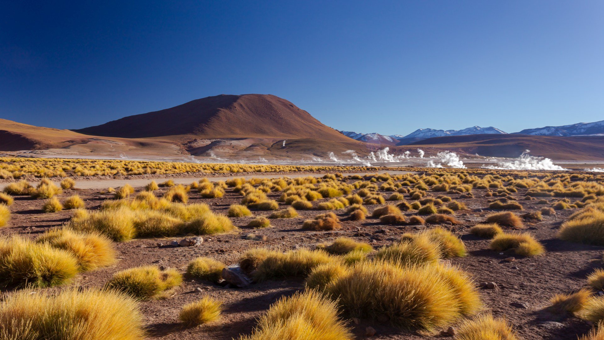 chile_poster_istock_4