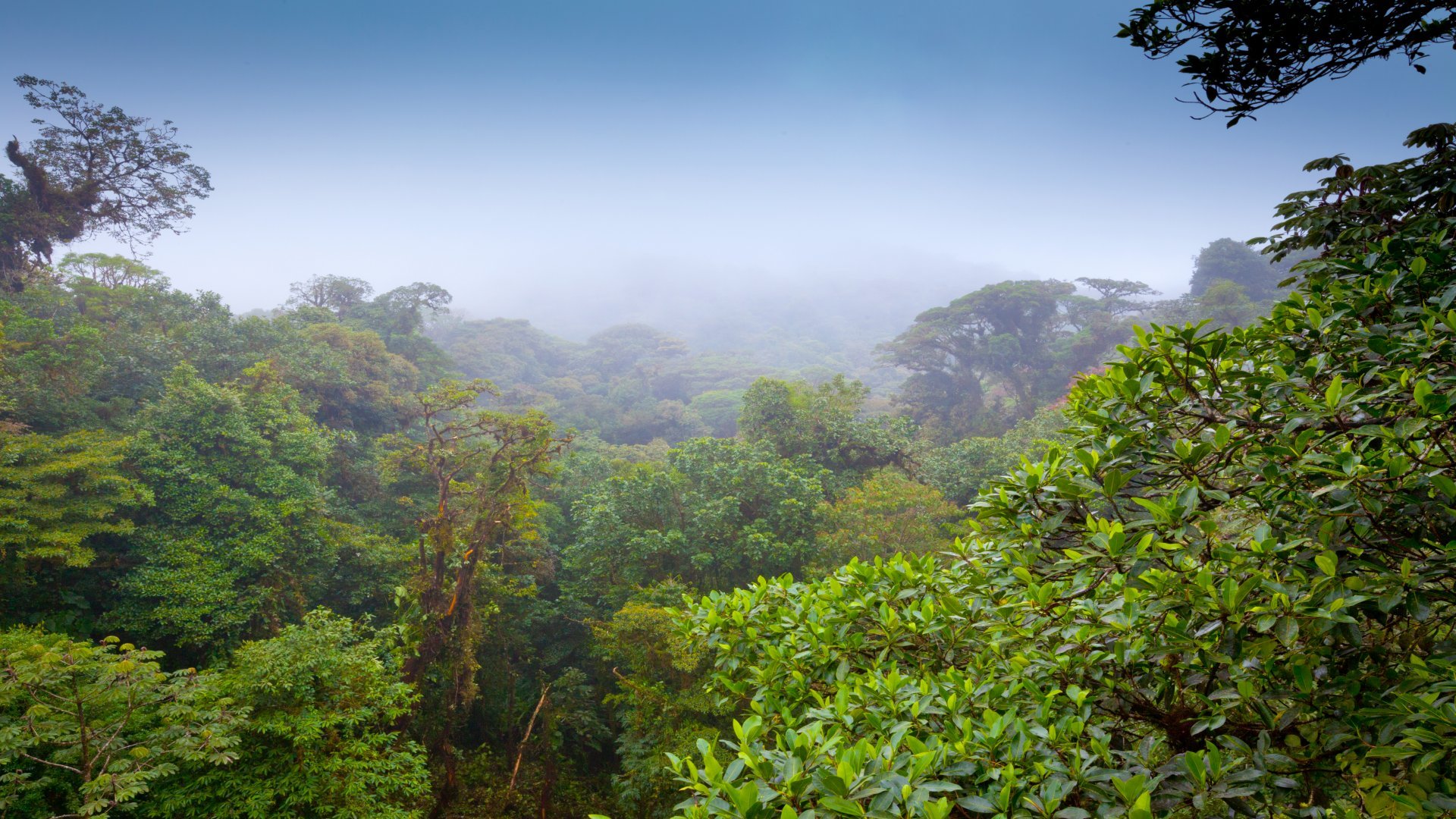 costa rica_poster_istock_15