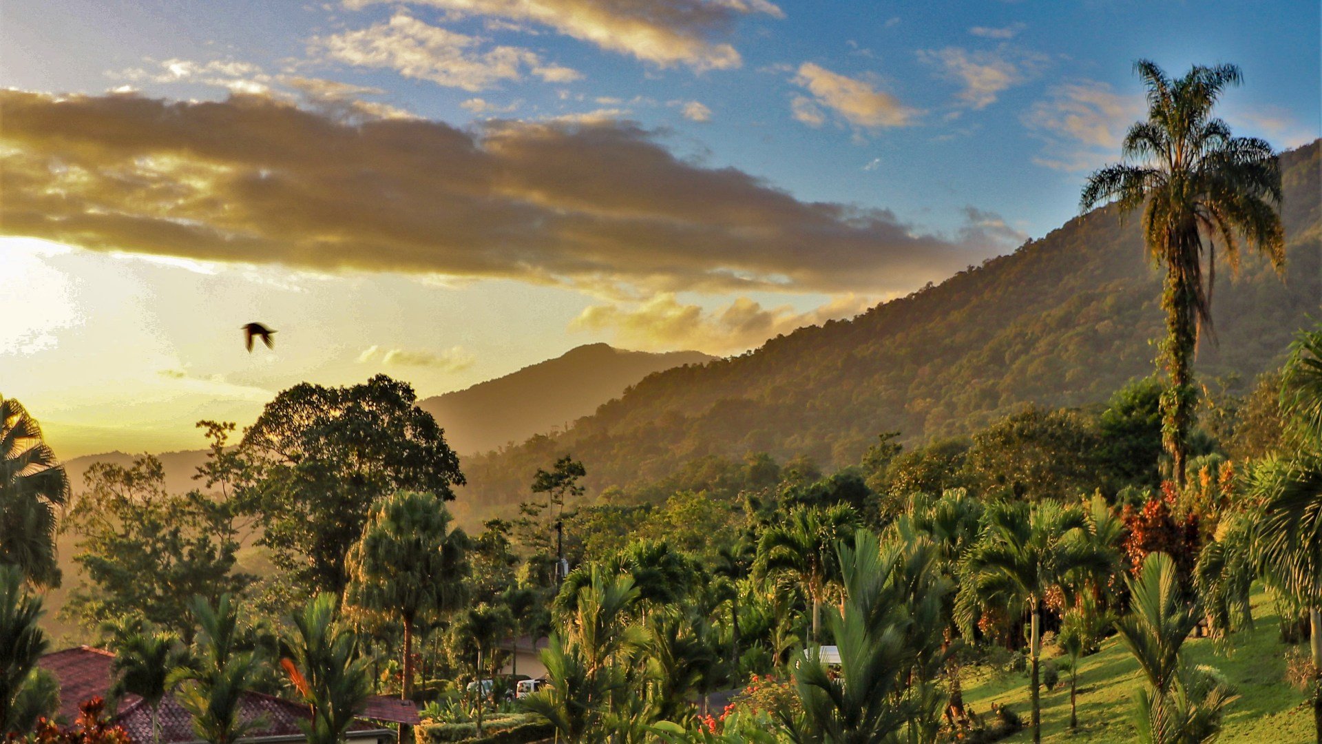 costa rica_poster_istock_28