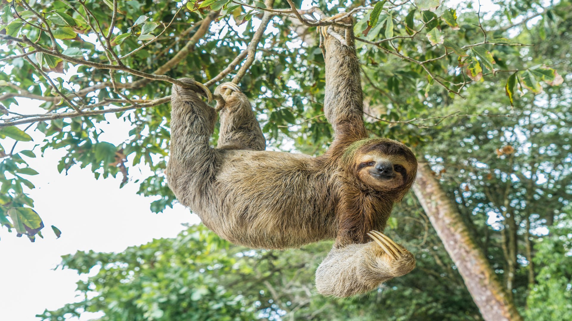 costa rica_poster_istock_3