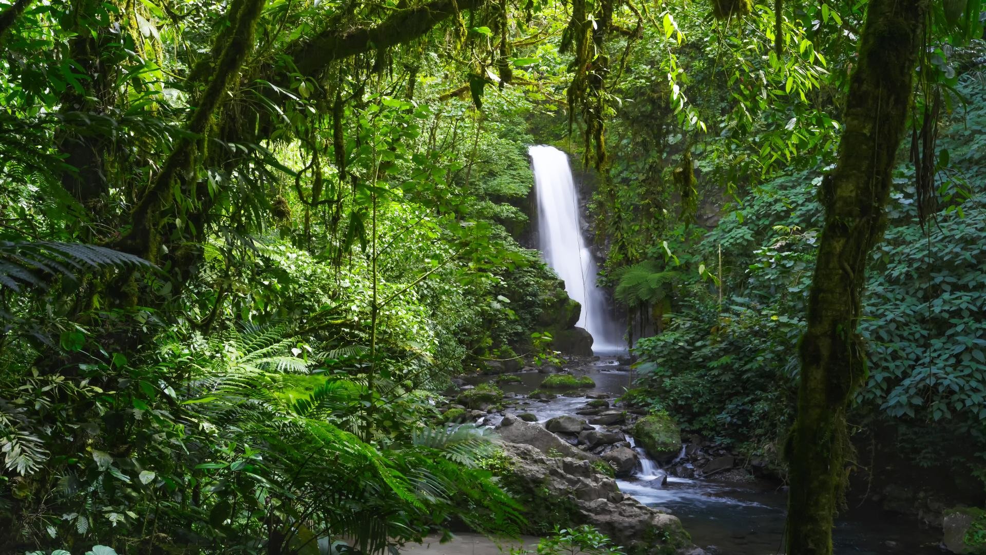 costa rica_poster_istock_31