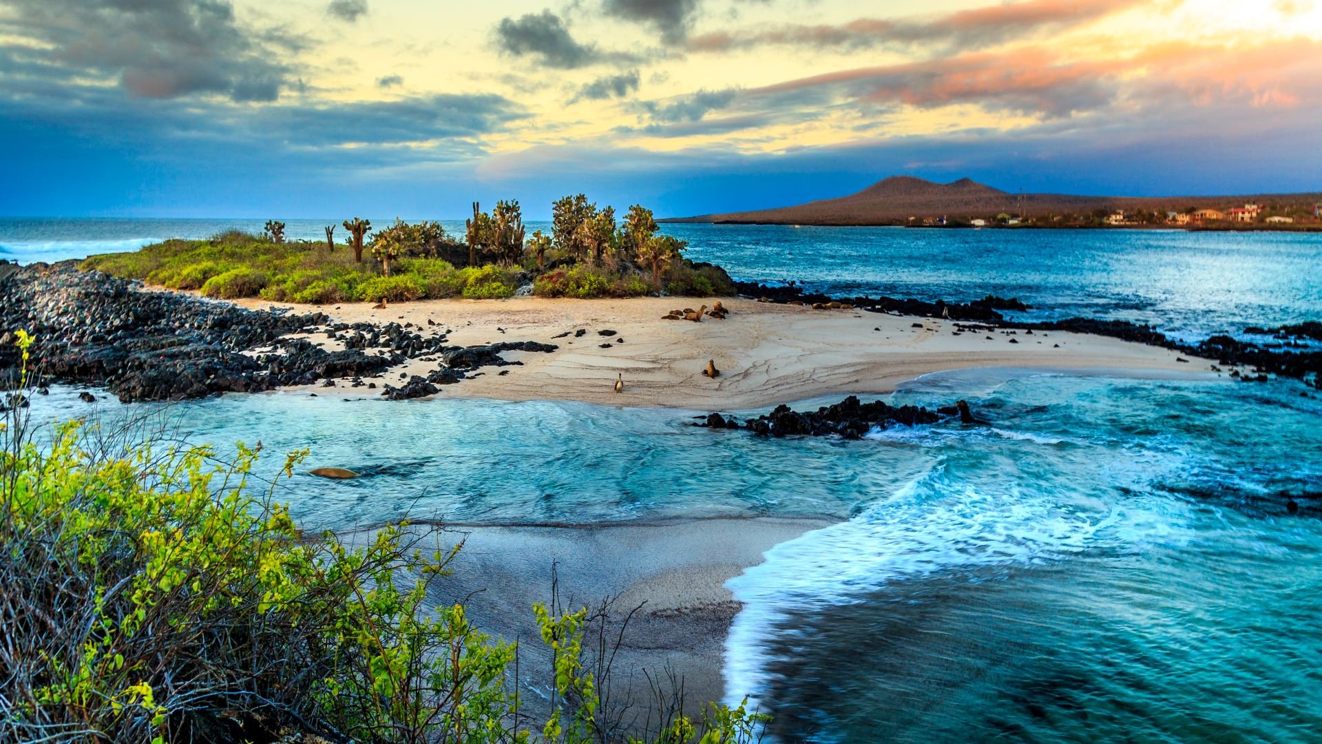 ecuador_poster_istock_211115_11-1