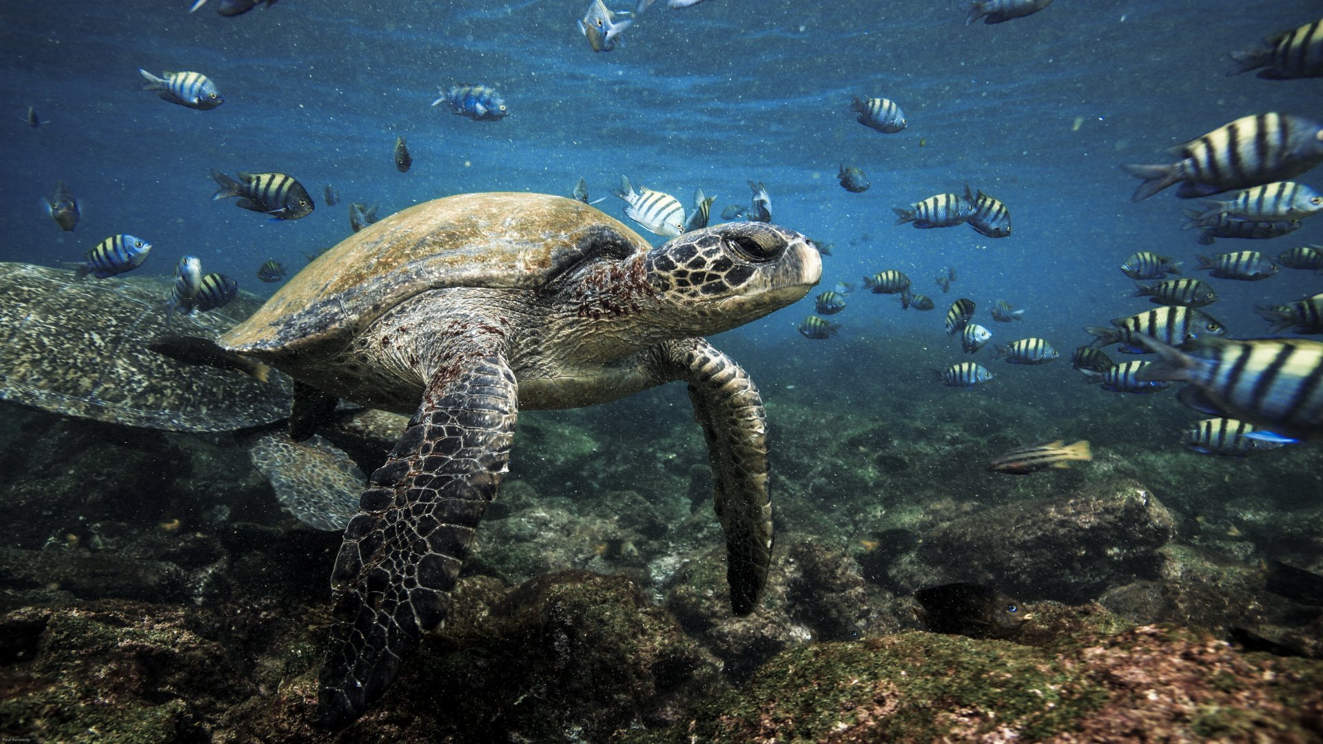 ecuador_poster_istock_211115_3-2