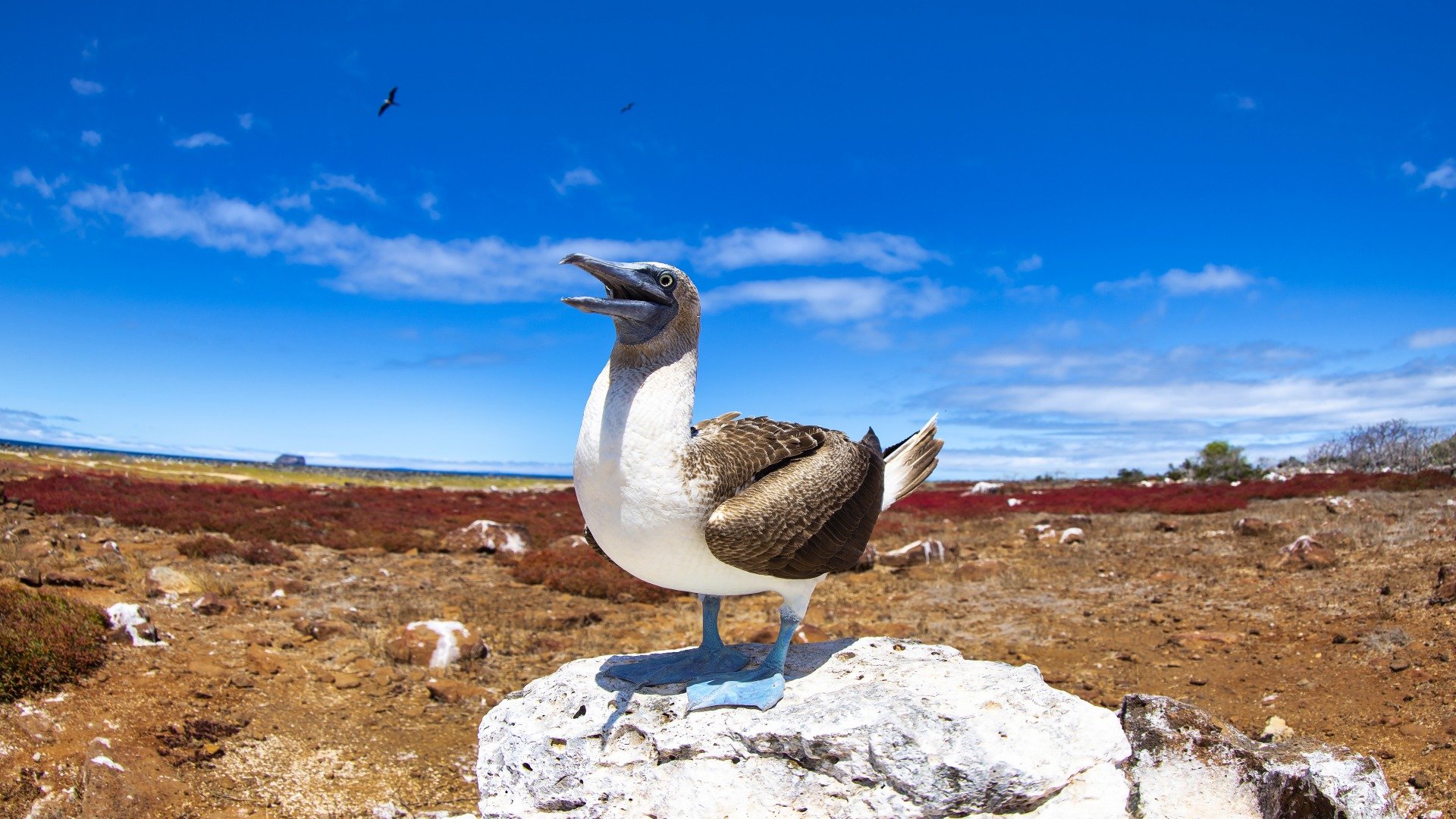 ecuador_poster_istock_211115_8-2