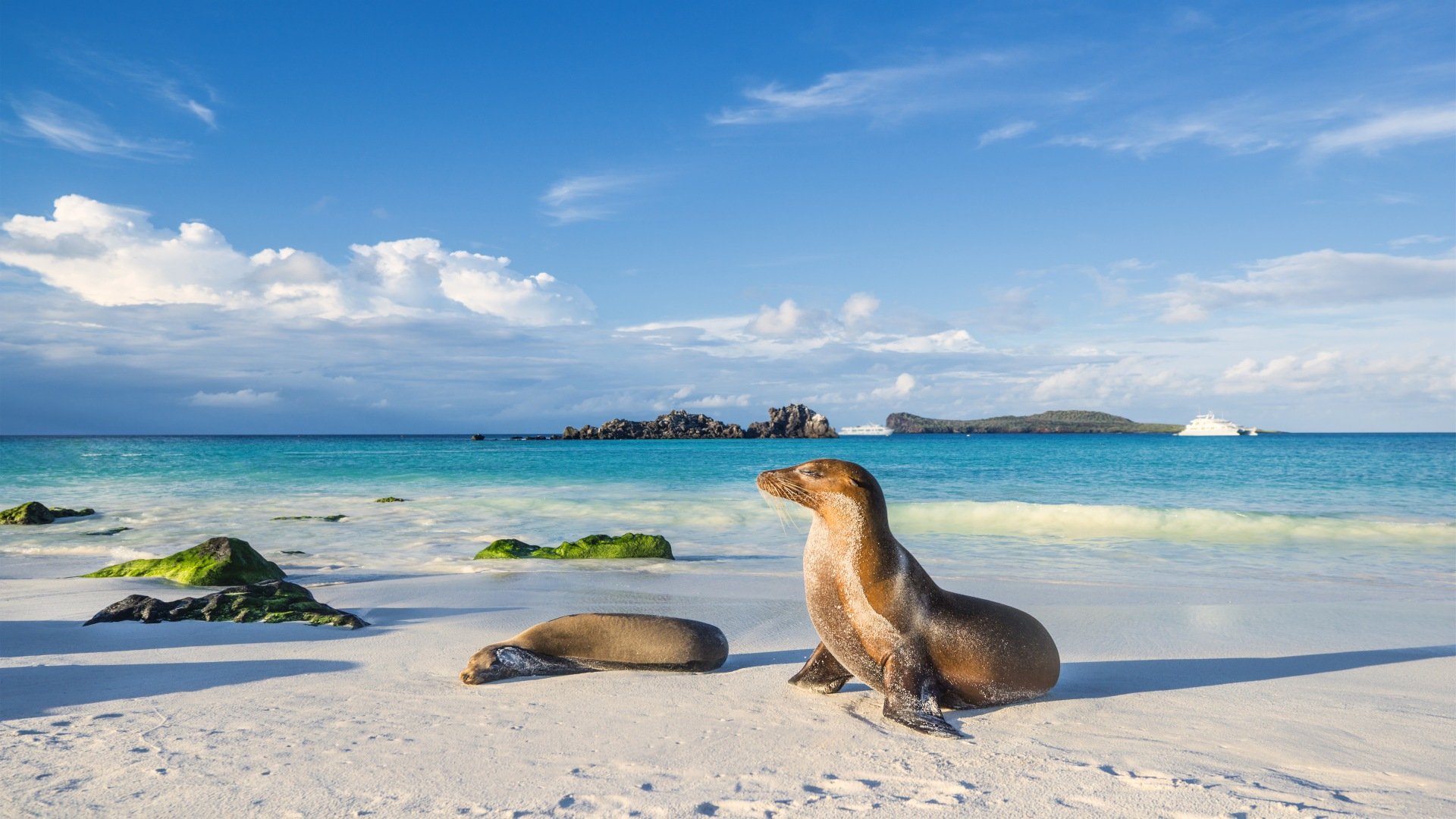 ecuador_poster_istock_5