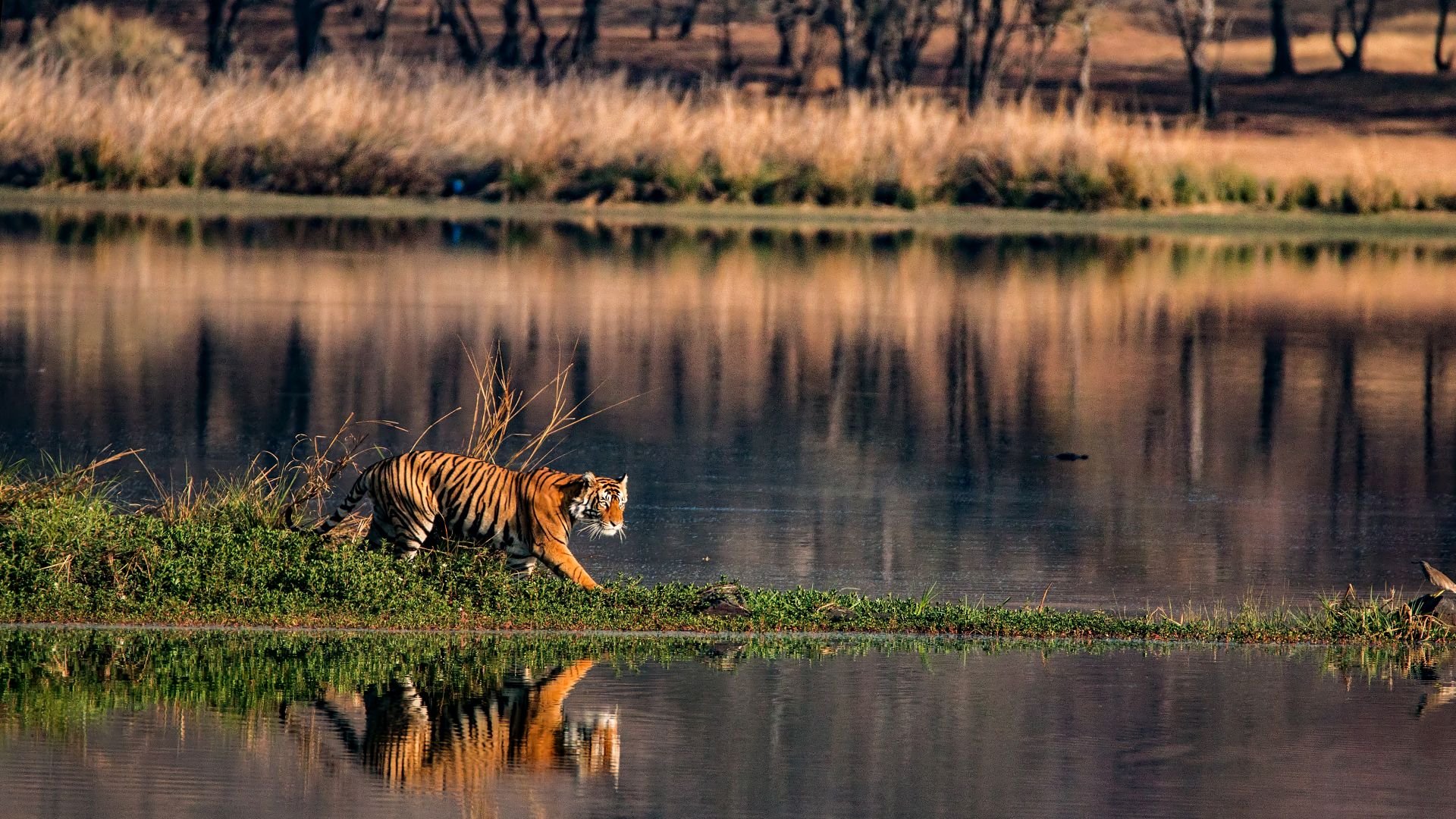 indien_poster_istock_24